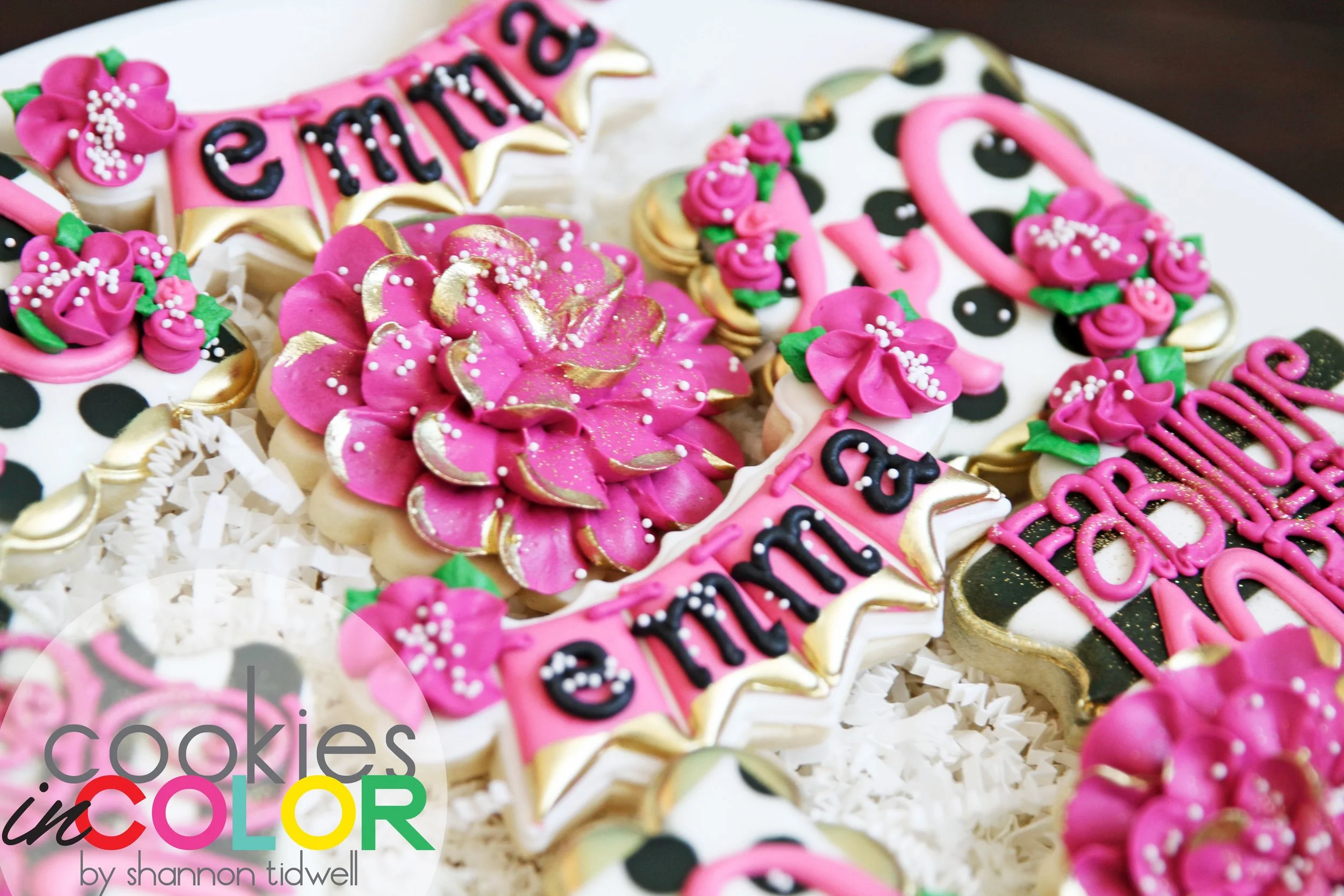 shannontidwell-cookiesincolor-forty 042.jpg