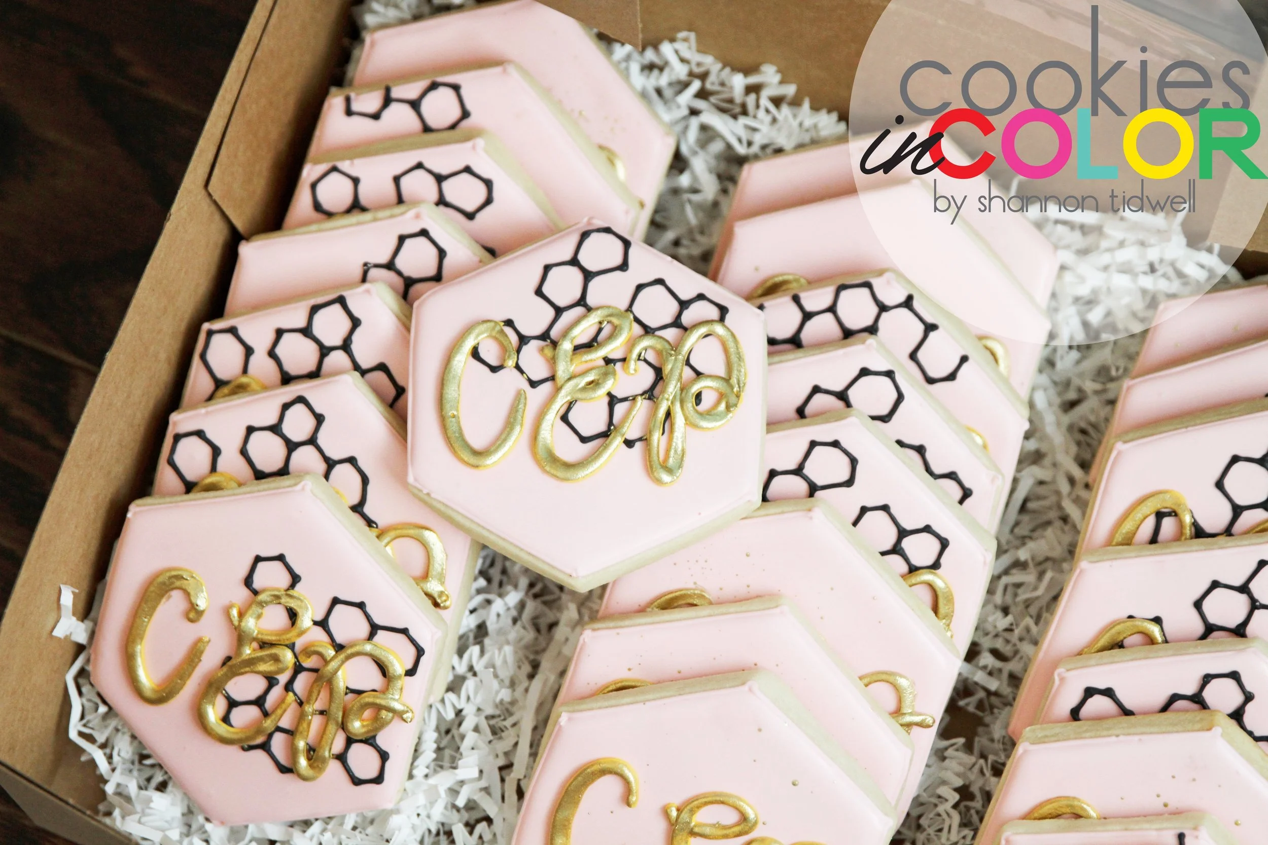 shannontidwell-cookiesincolor-logo 129.jpg