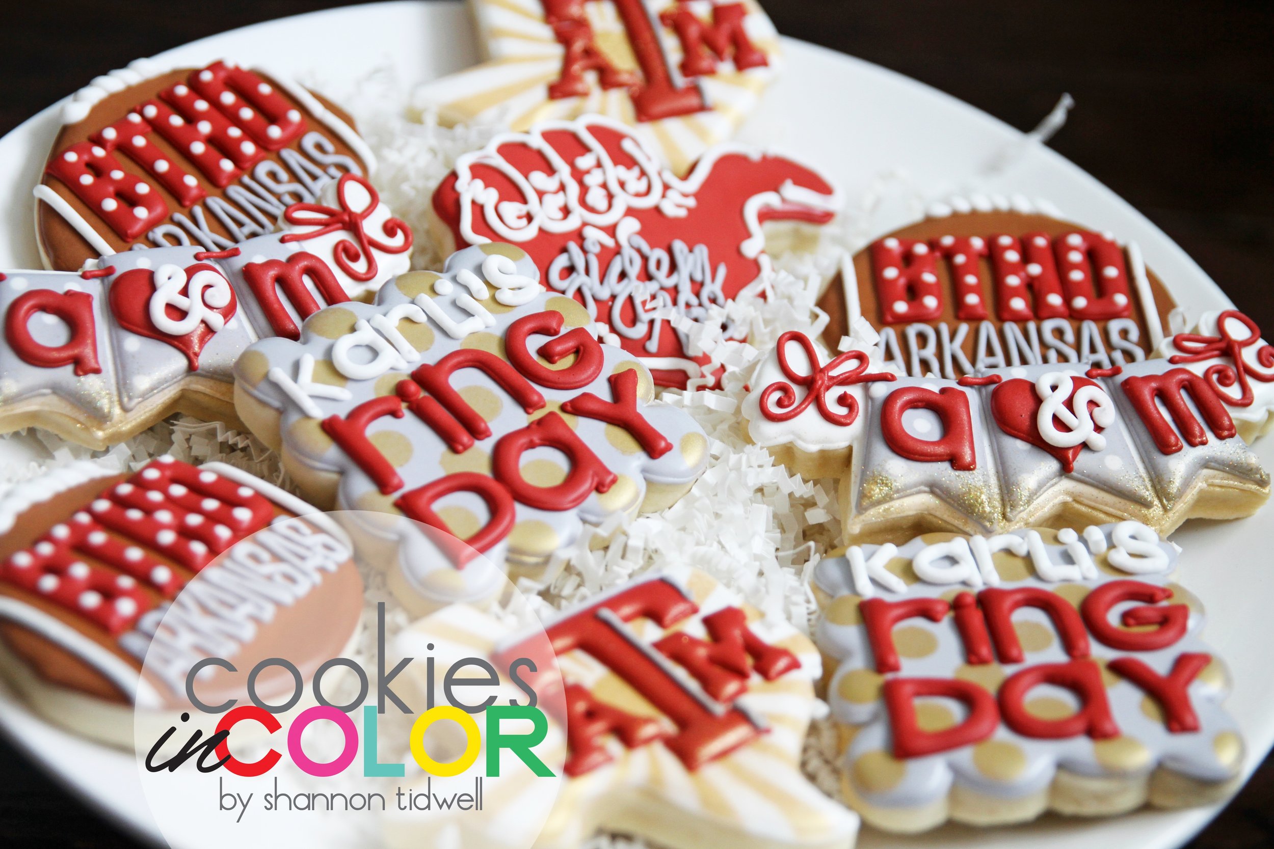 shannontidwell-cookiesincolor-aggie 035.jpg
