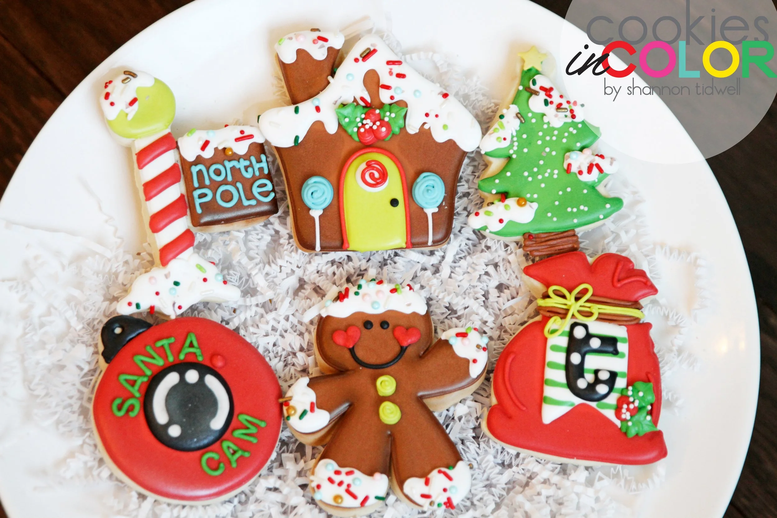 shannontidwell-cookiesincolor-christmasclass 103.jpg