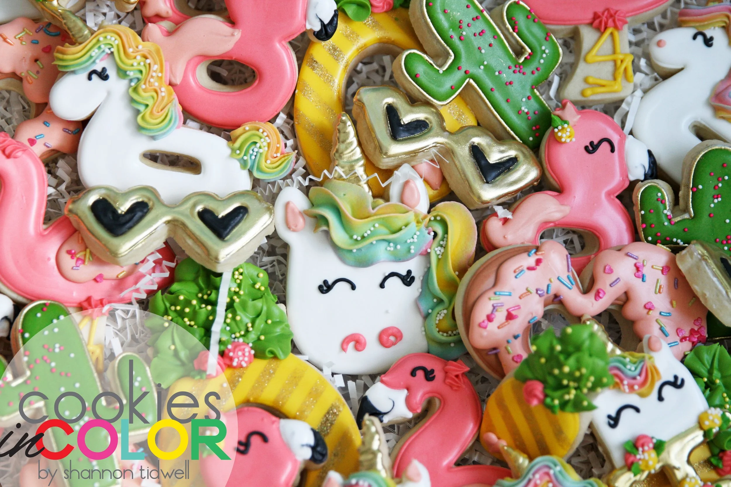 shannontidwell-cookiesincolor-grayson 013.jpg
