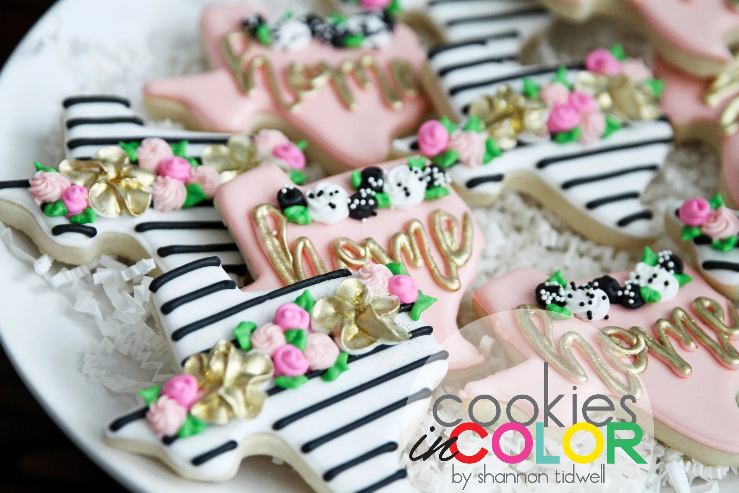 shannontidwell-cookiesincolor-texashome 110.jpg