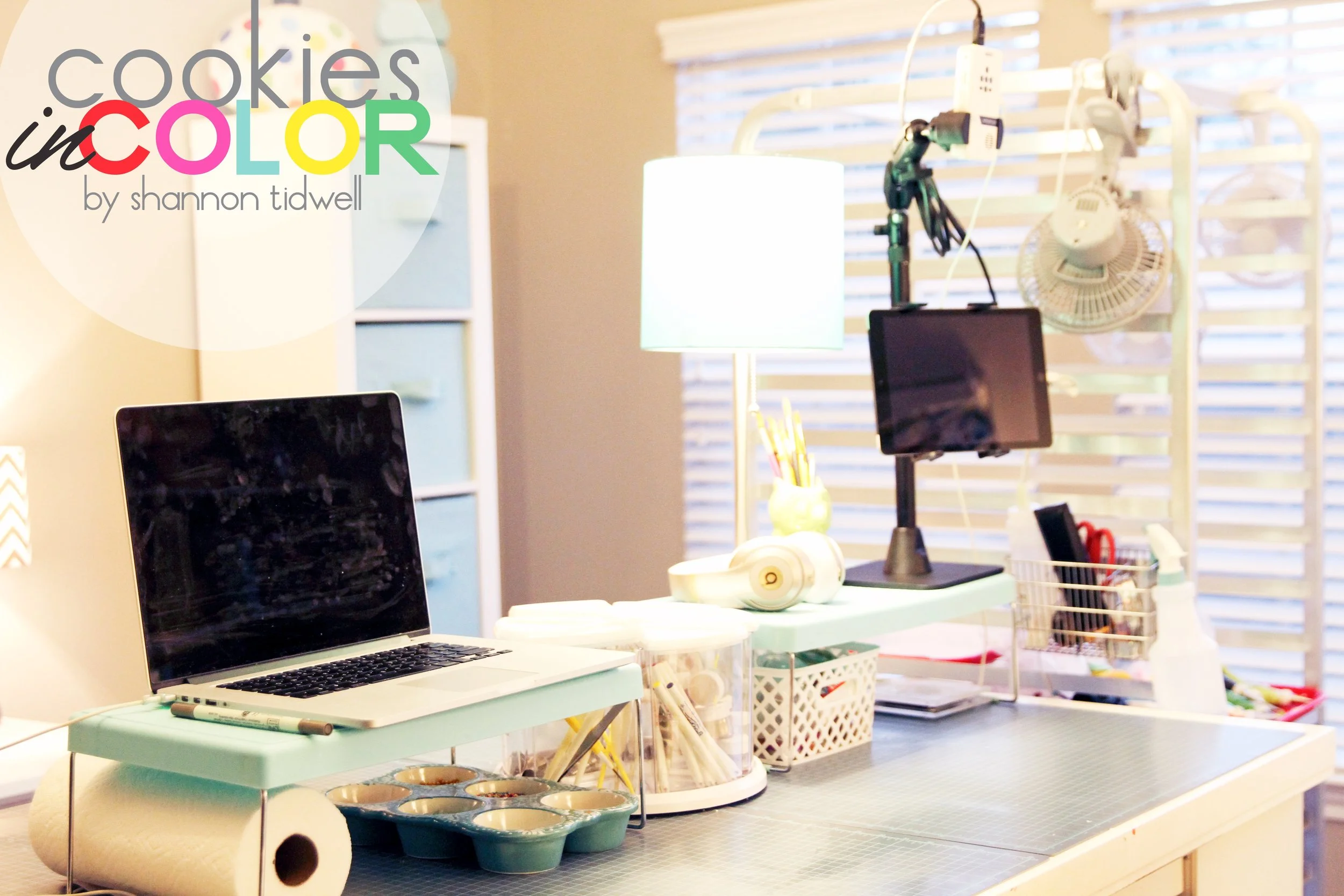 shannontidwell-cookiesincolor-room 165.jpg