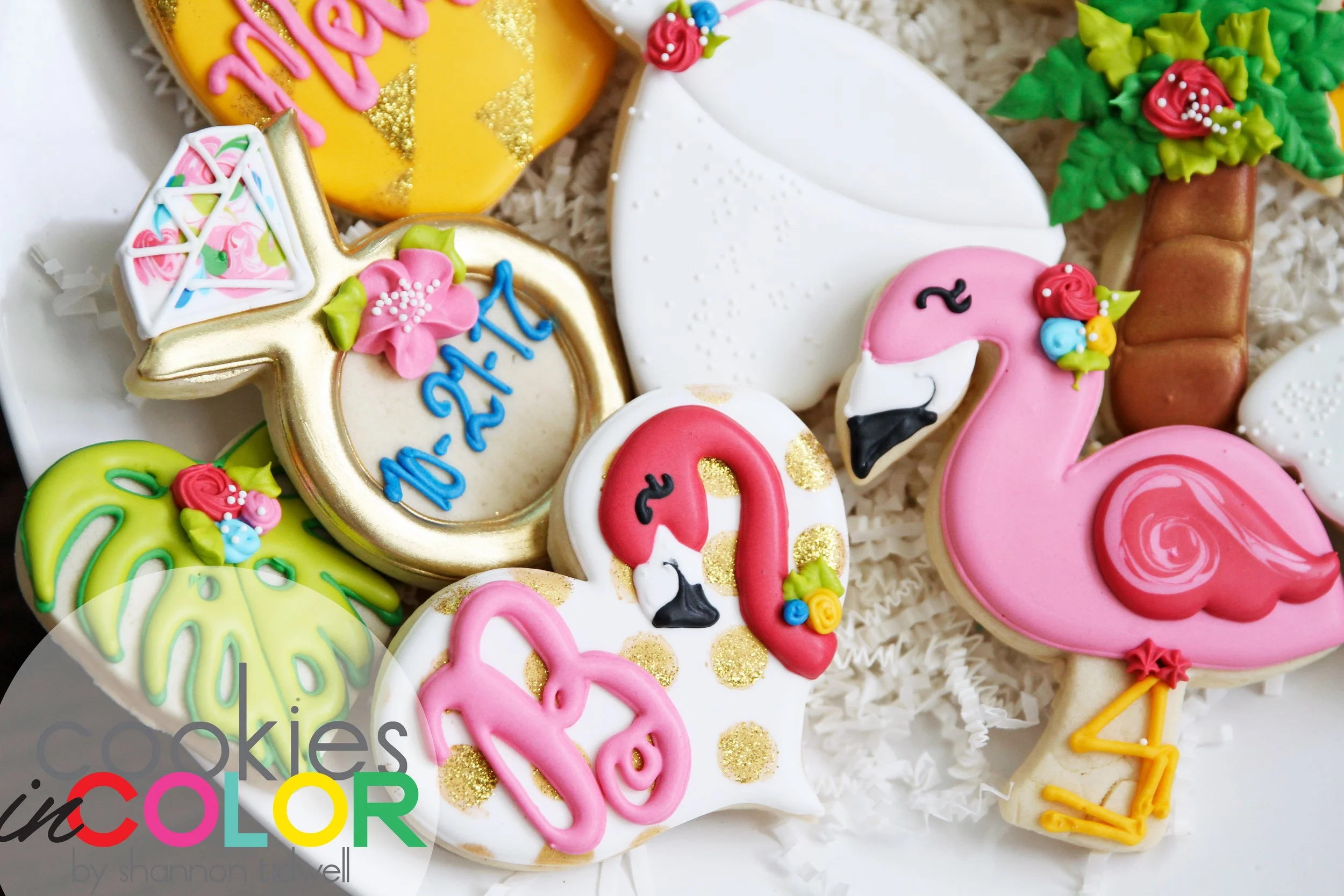 shannontidwell-cookiesincolor-tropicalshower 235.jpg