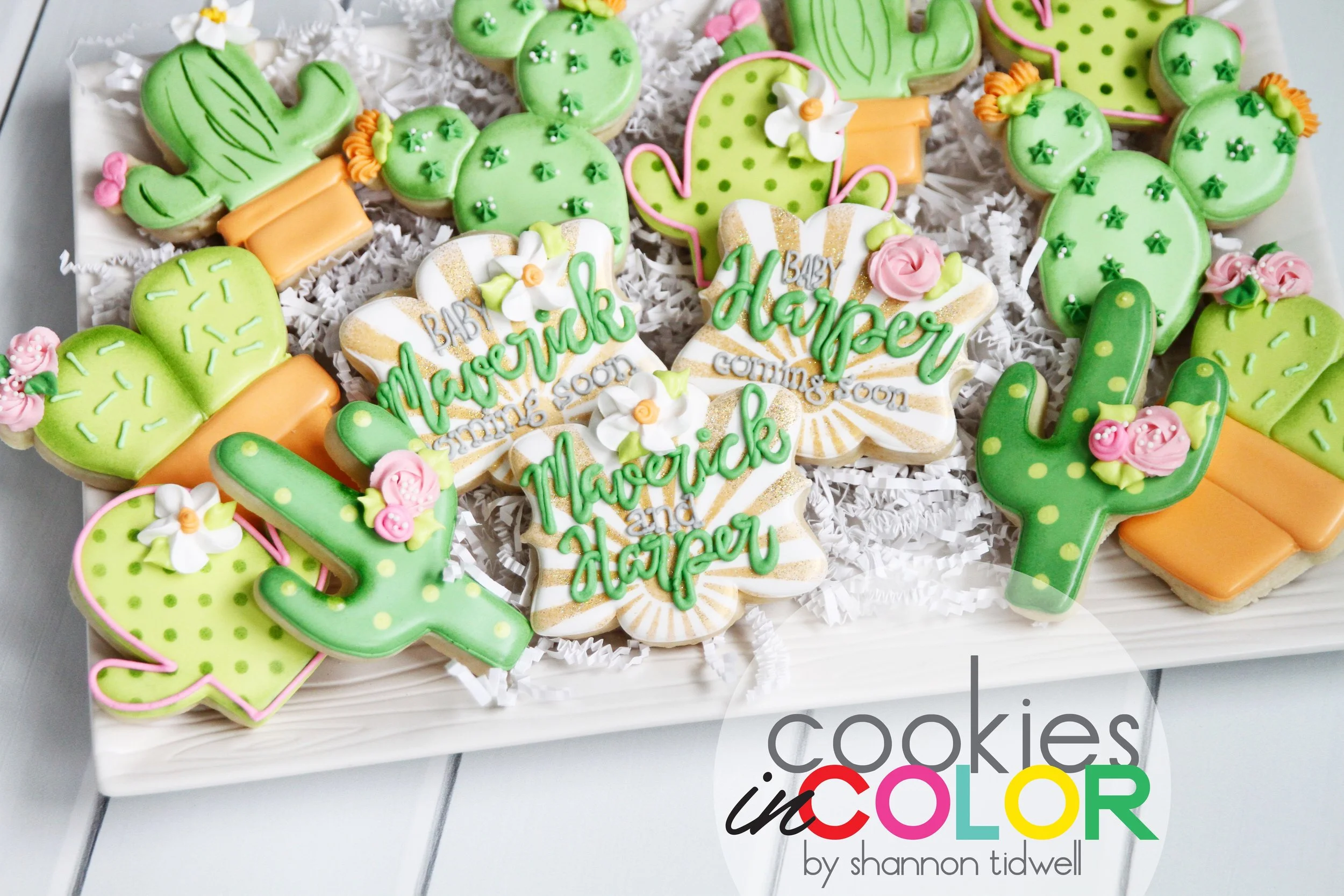 shannontidwell-cookiesincolor-cactus 303.jpg