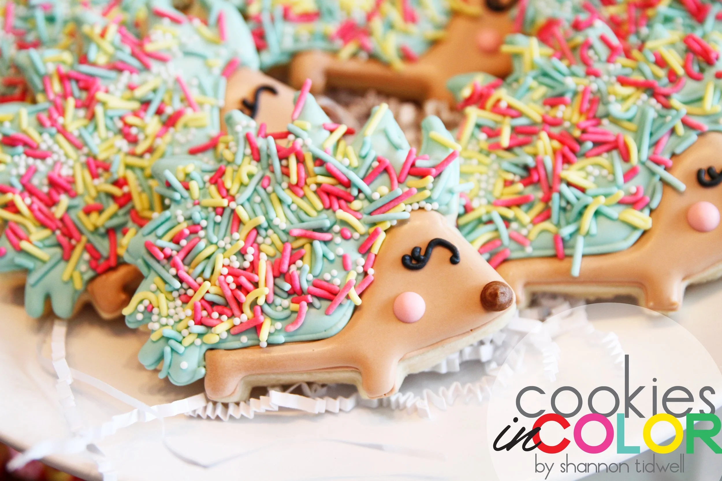shannontidwell-cookiesincolor-hedgehog 259.jpg