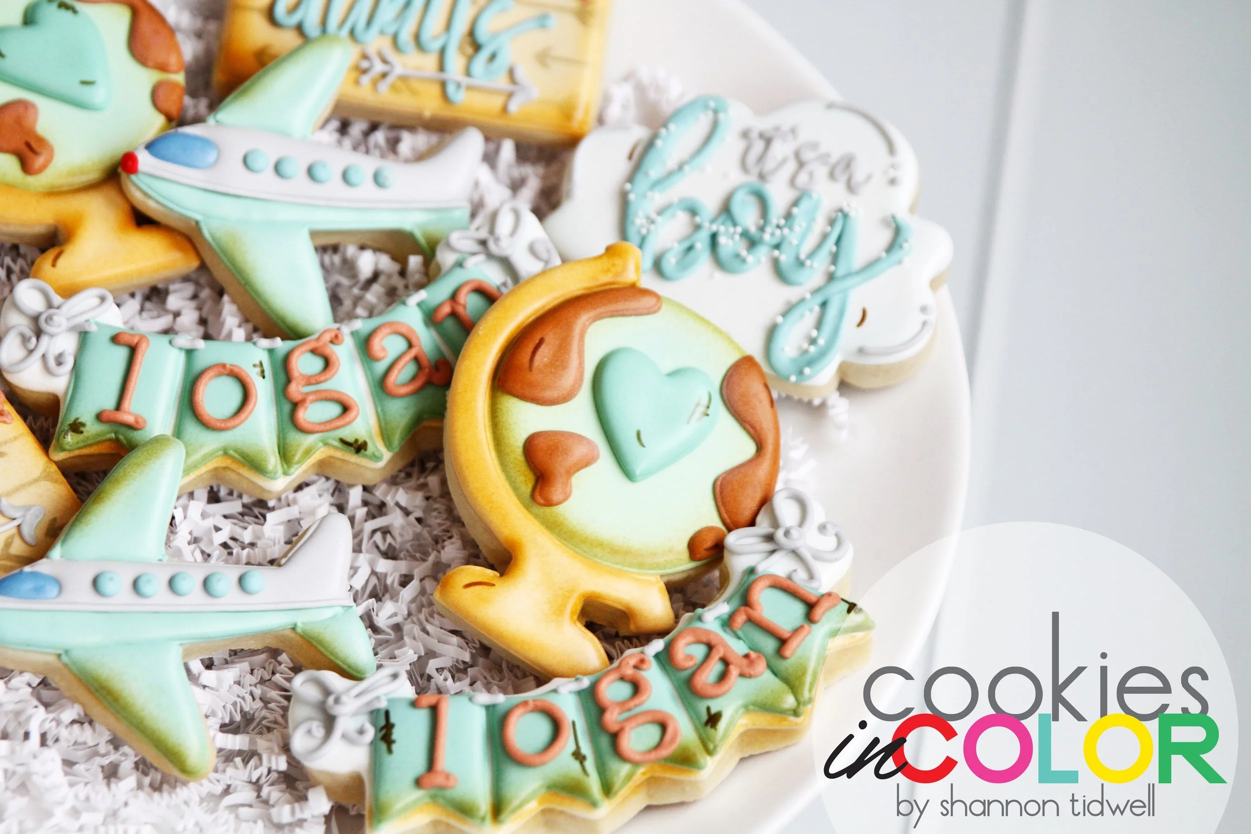 shannontidwell-cookiesincolor-plane 403.jpg