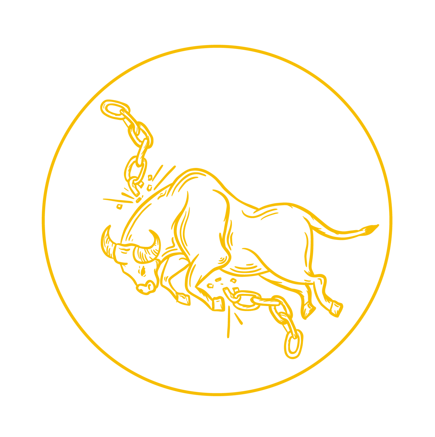 North  Carolina Community  Bail Fund of Durham