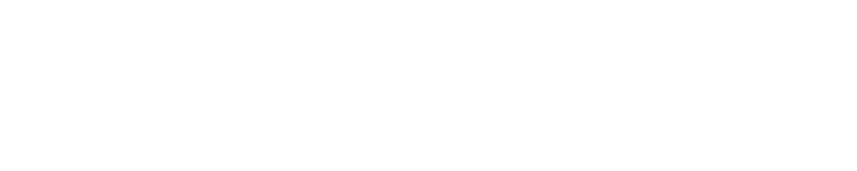 Südoststeirische Hochzeitsmesse