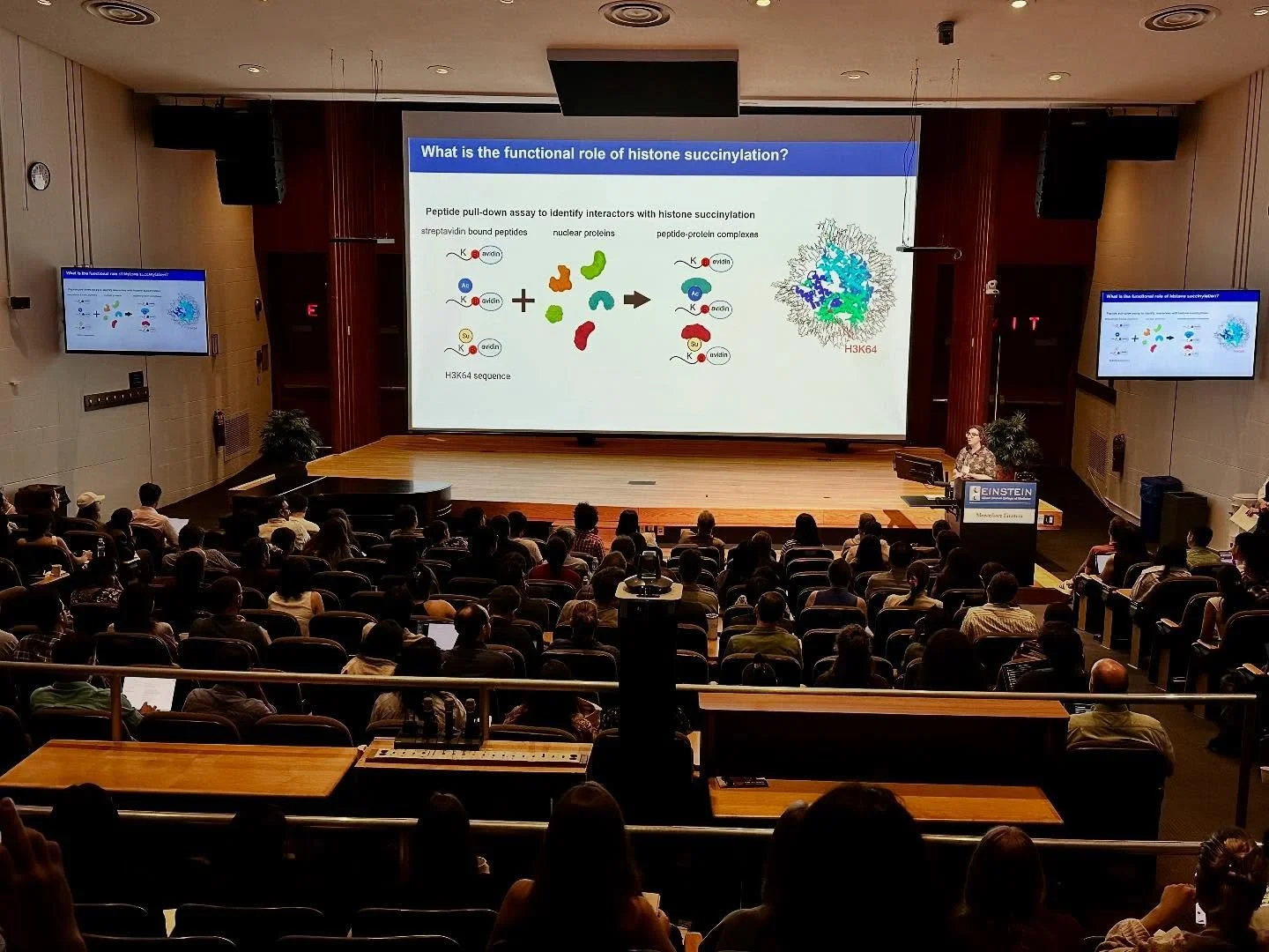 Sarah presents at the NYC Chromatin Club!!! π§¬π§¬π§¬π§¬