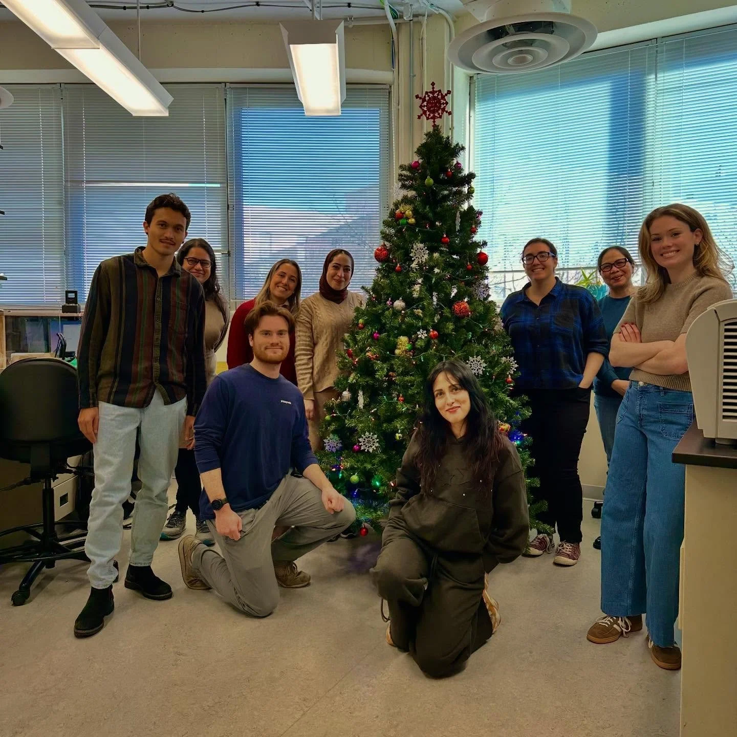 The lab is feeling on holiday already 🎄🎄🎄🎄🎄🎄🎄🎄🎄