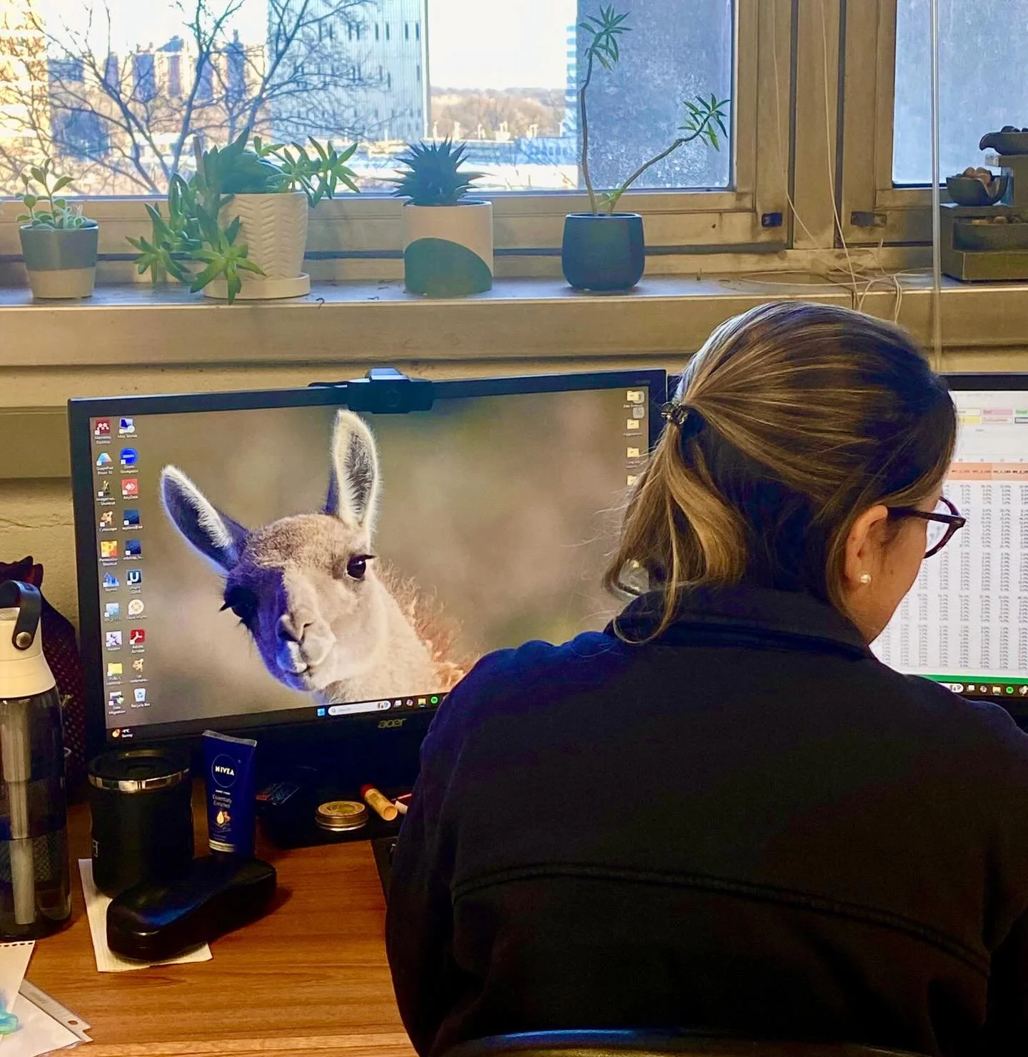 Who is there??!! 😂😂😂