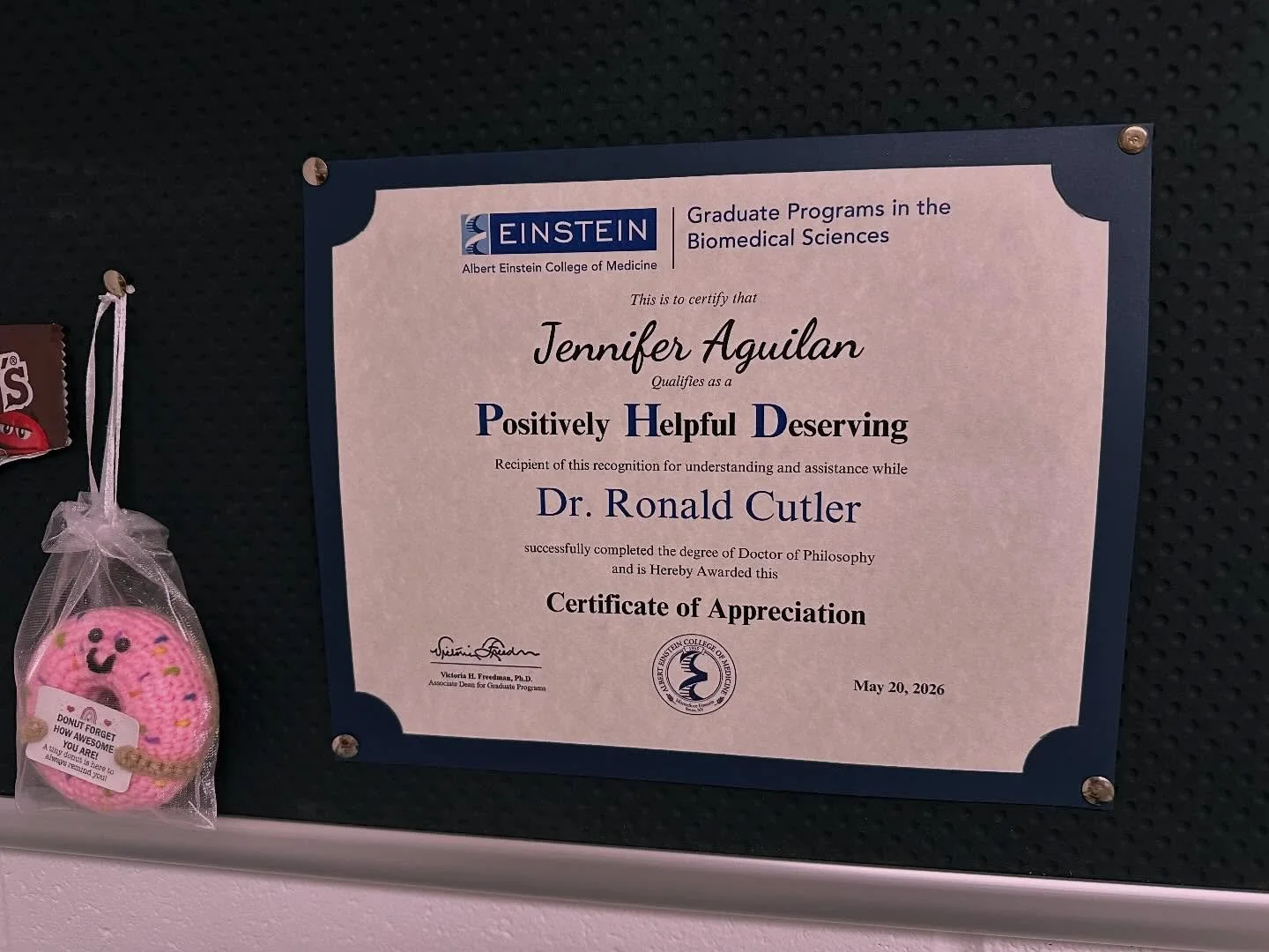 Jenny received &ldquo;another&rdquo; PhD 😂😂😂