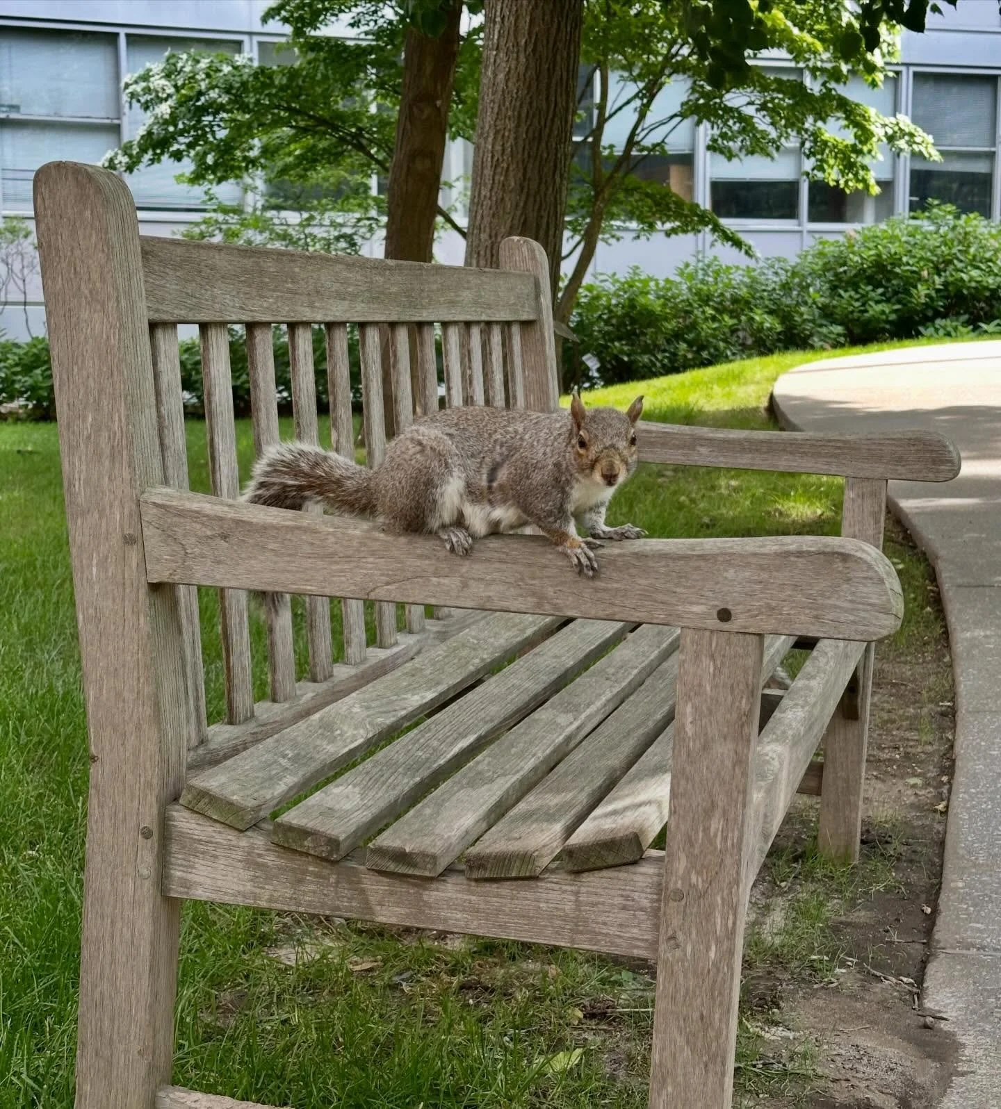Summer 🐿️🐿️🐿️🐿️🐿️