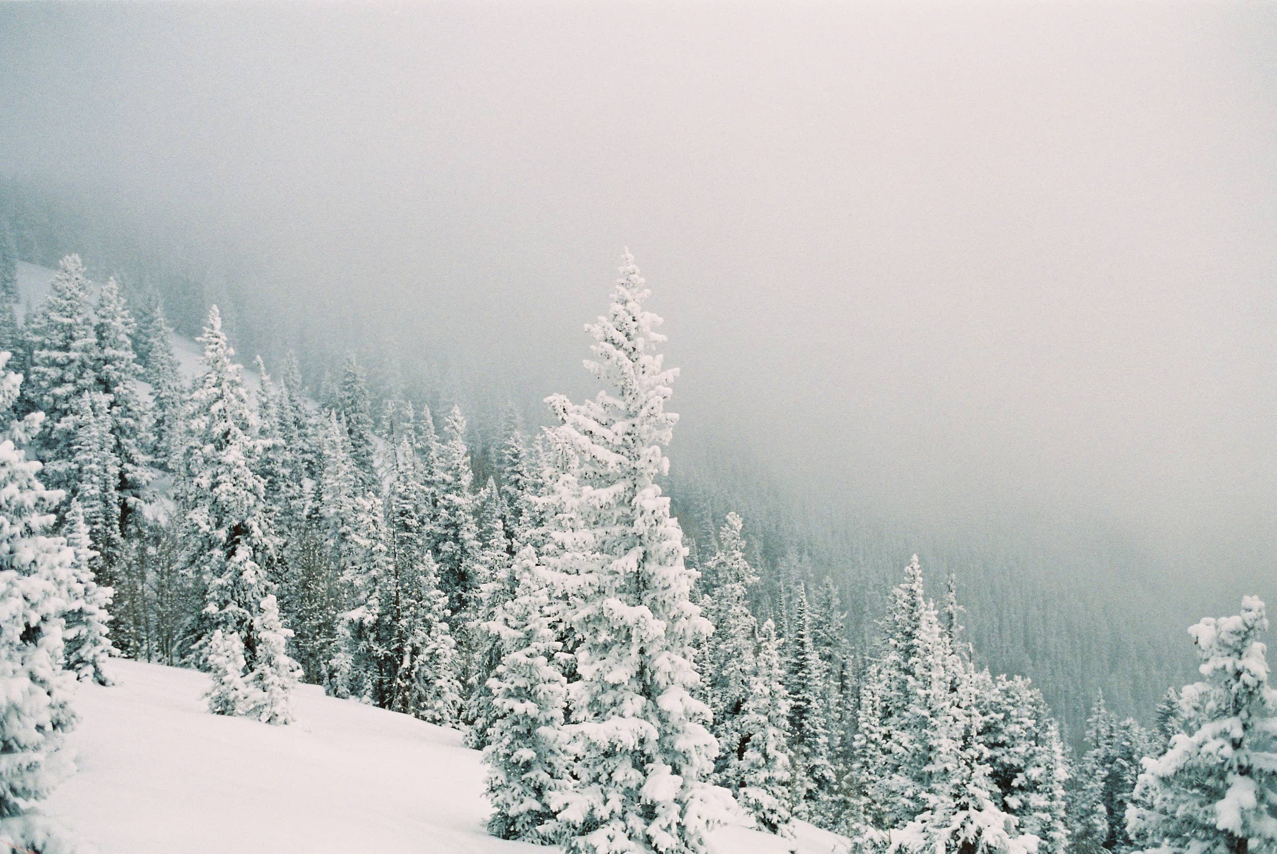 Winter mountain scene from a wedding in the mountains in Aspen, Colorado.
