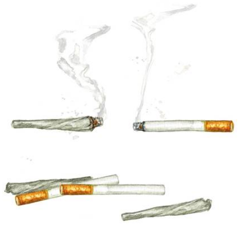 Joints and Cigarettes.png