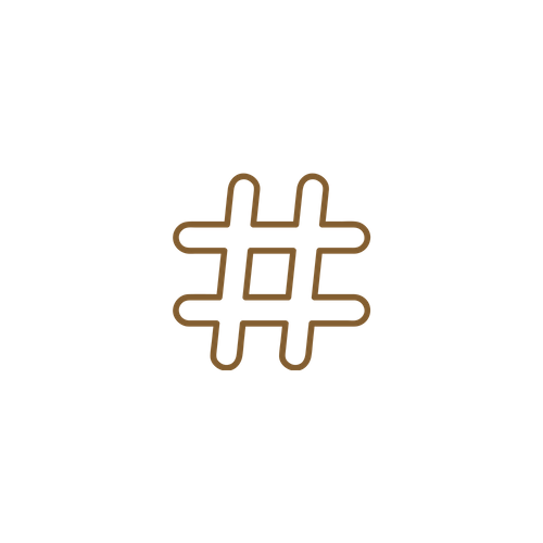 website icon (1).png
