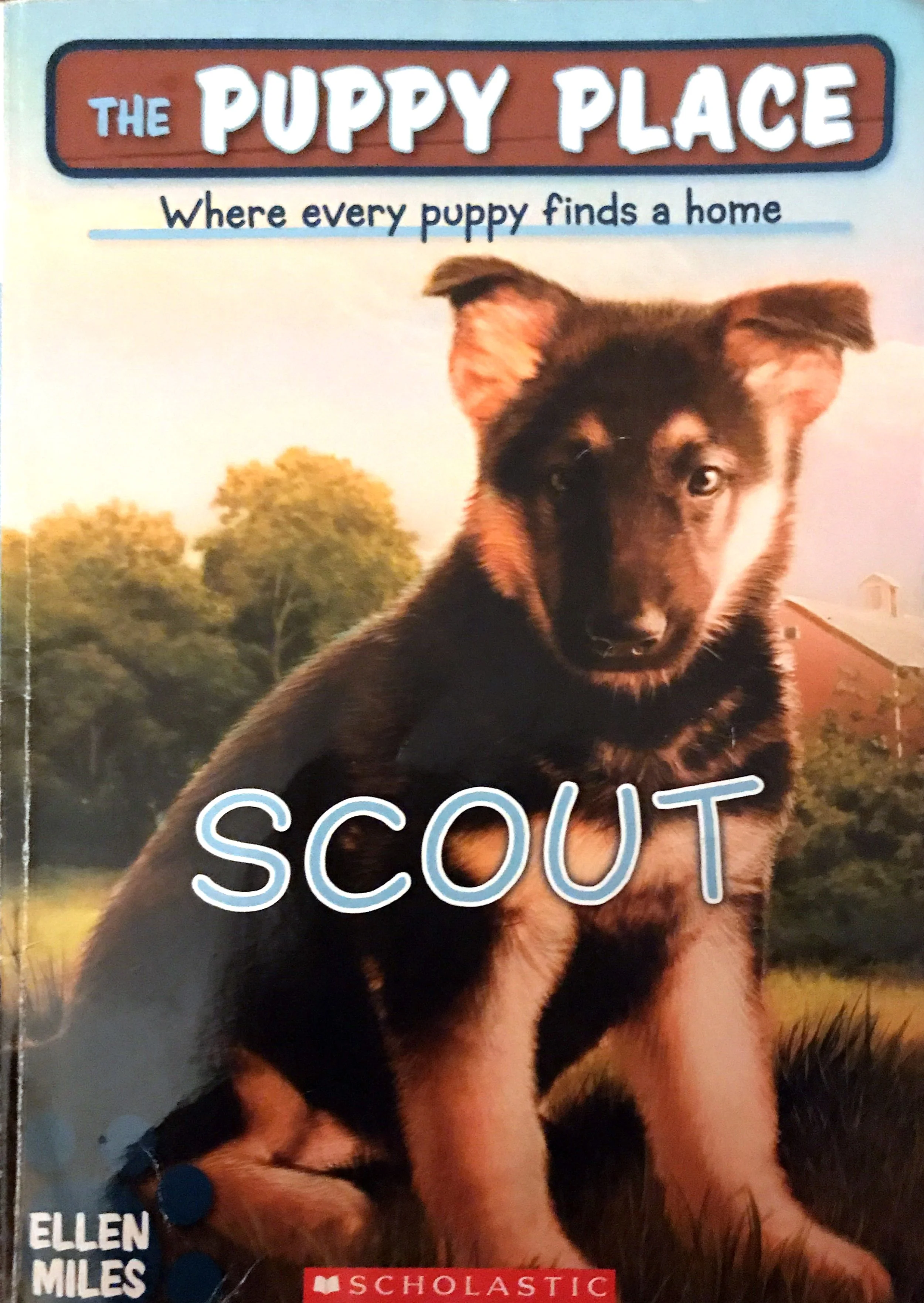The Puppy Place #7: Scout