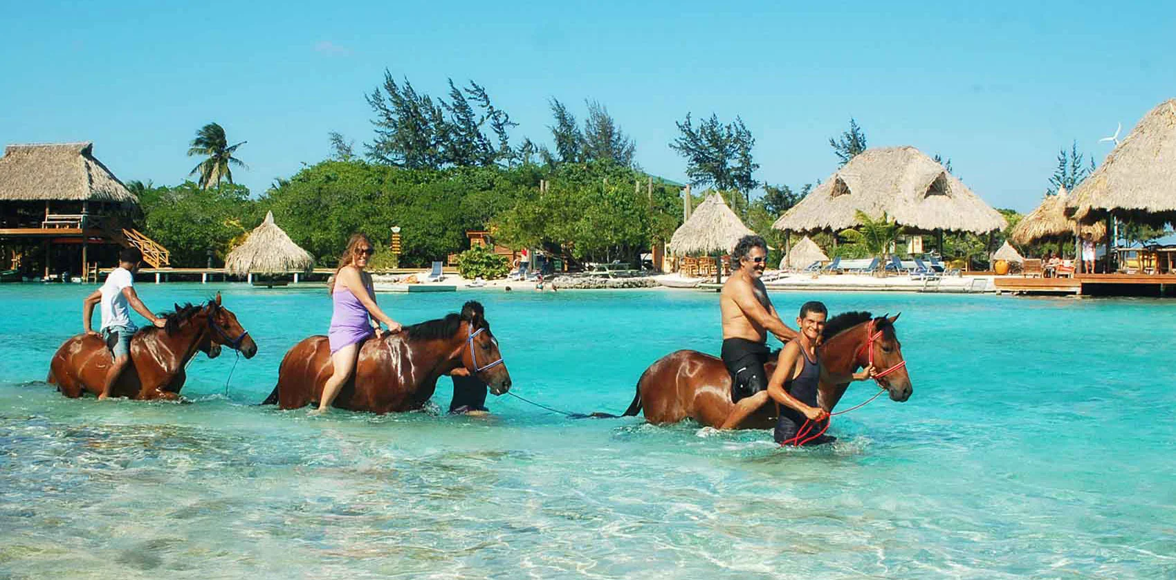 Horseback Swimming