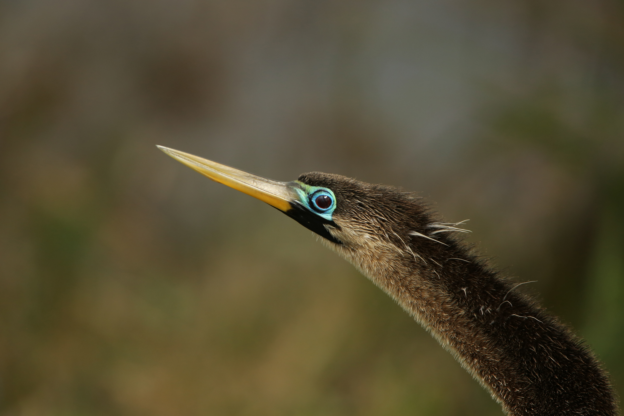 295A0094 WEB READY .JPG