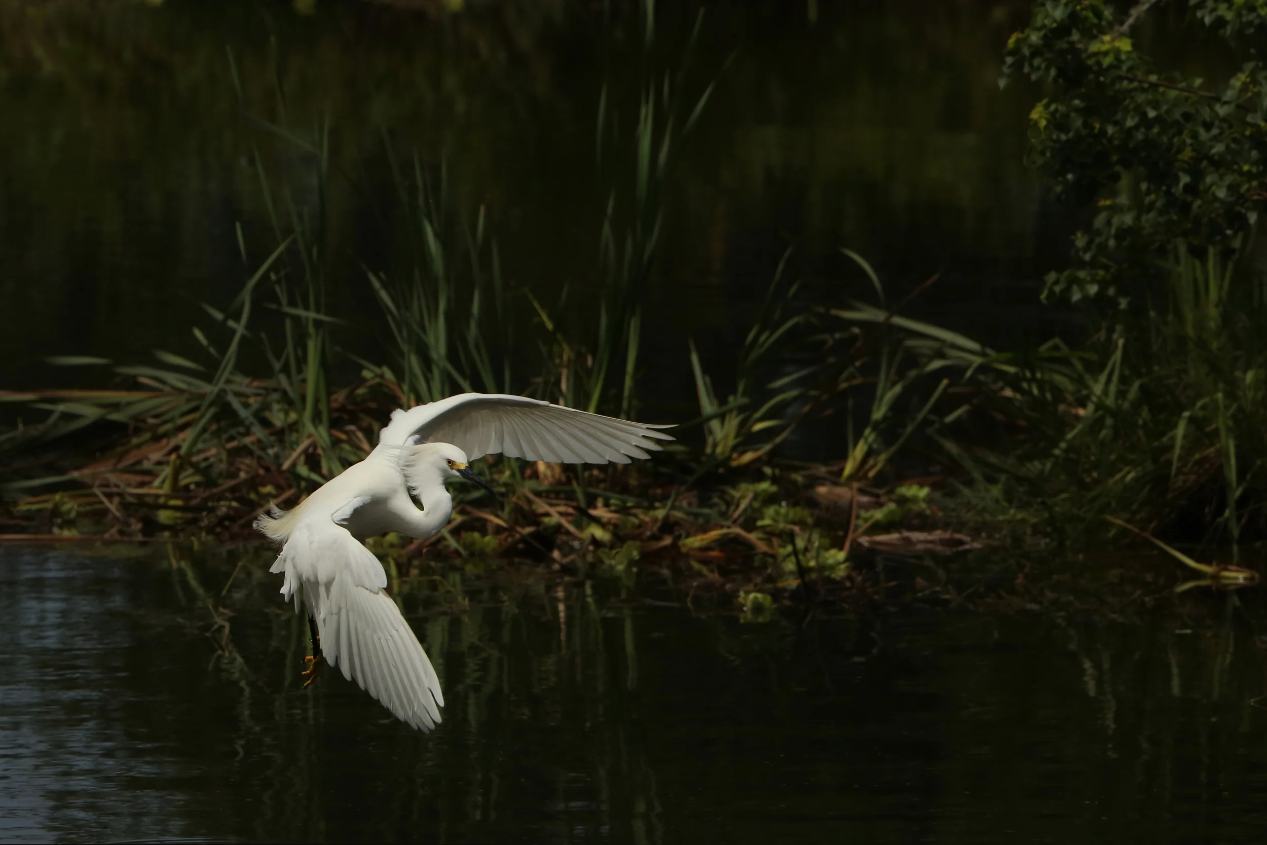 PK8A6306 WEB  2500 .JPG