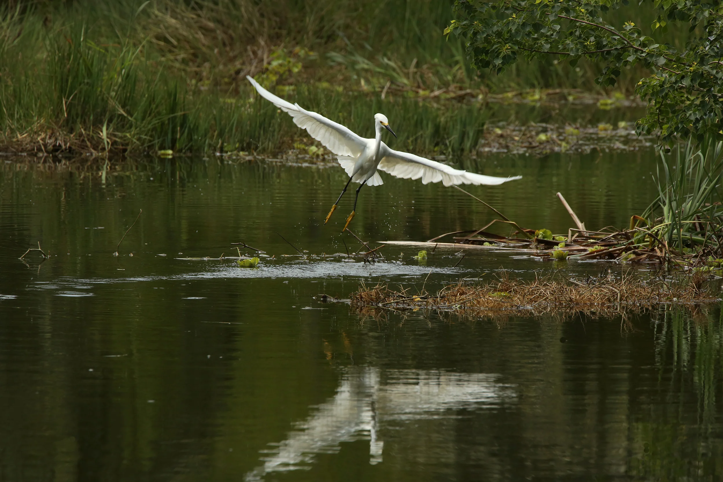 PK8A6499 2500 WEB .JPG