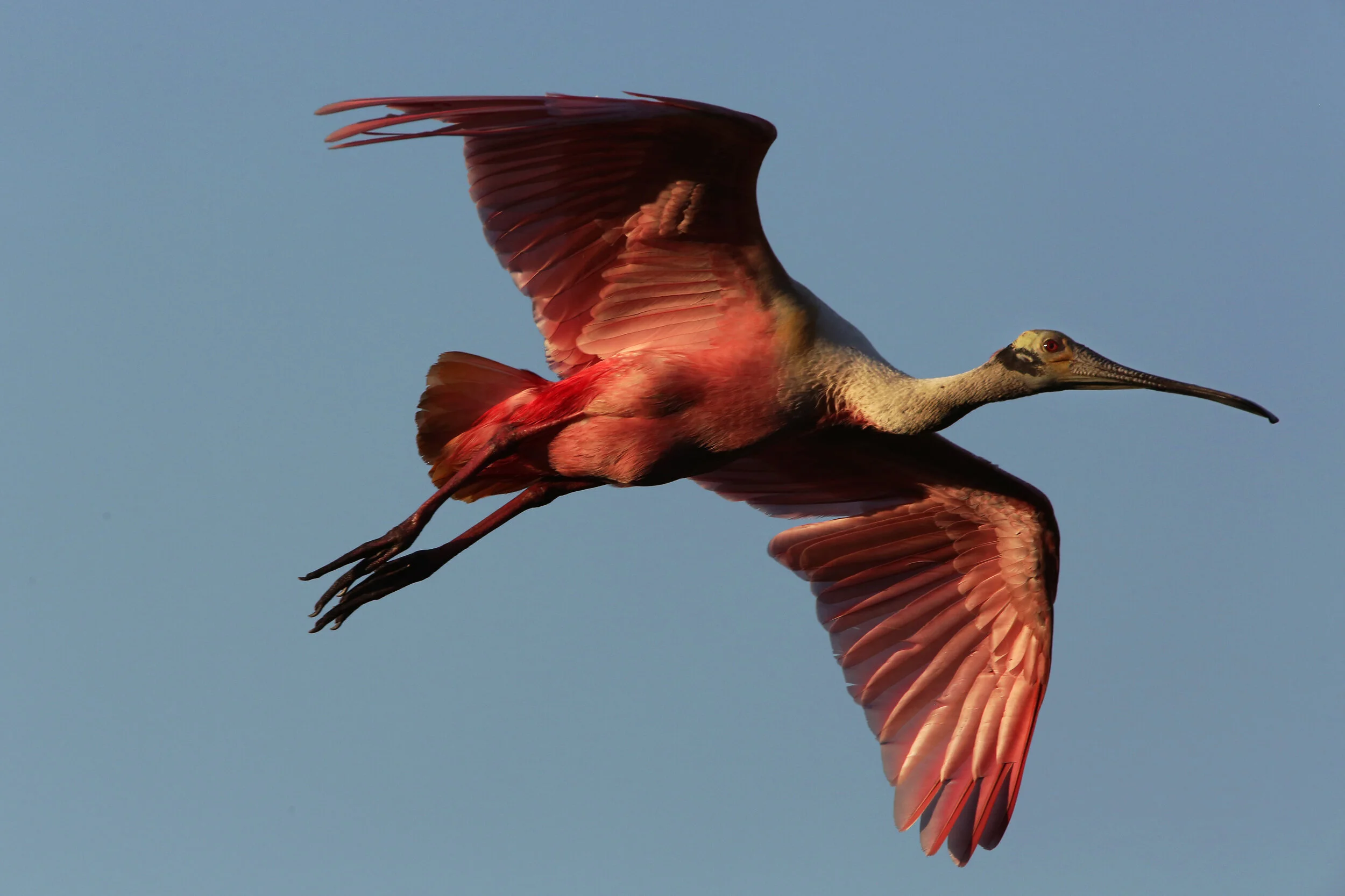 PK8A6948 2500 WEB .JPG