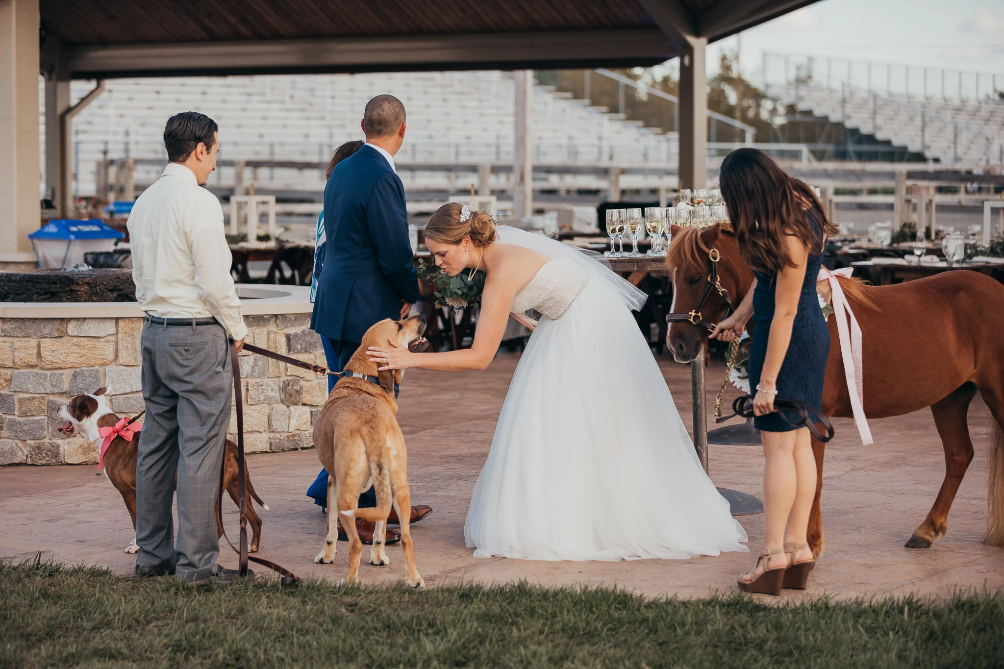Alex & Mike-5790.jpg
