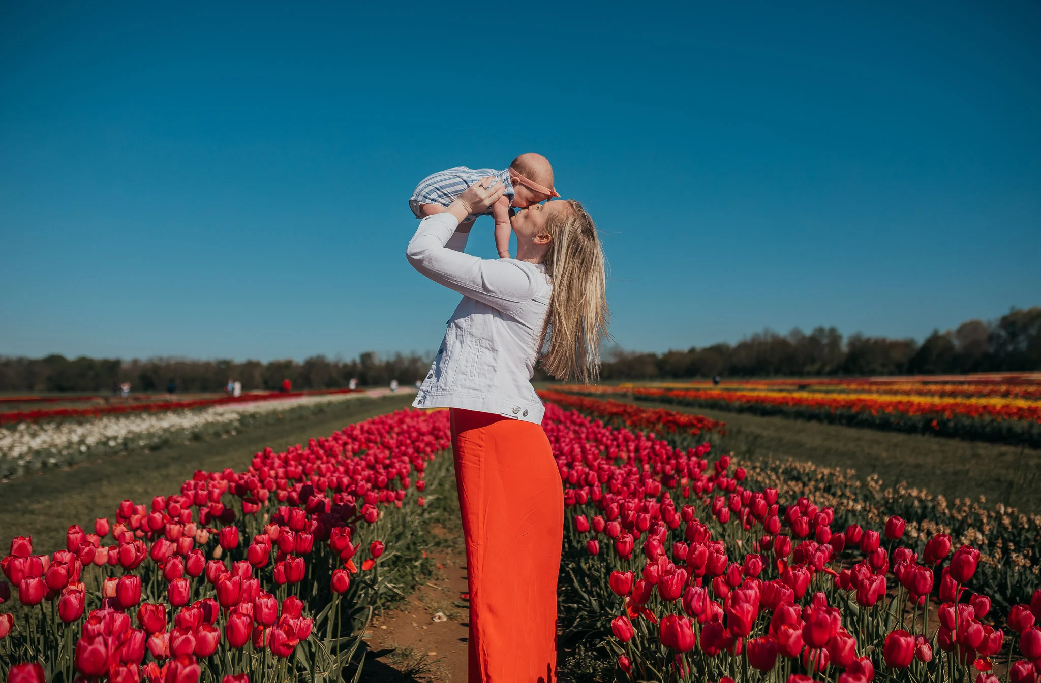 Tulips-4280.jpg