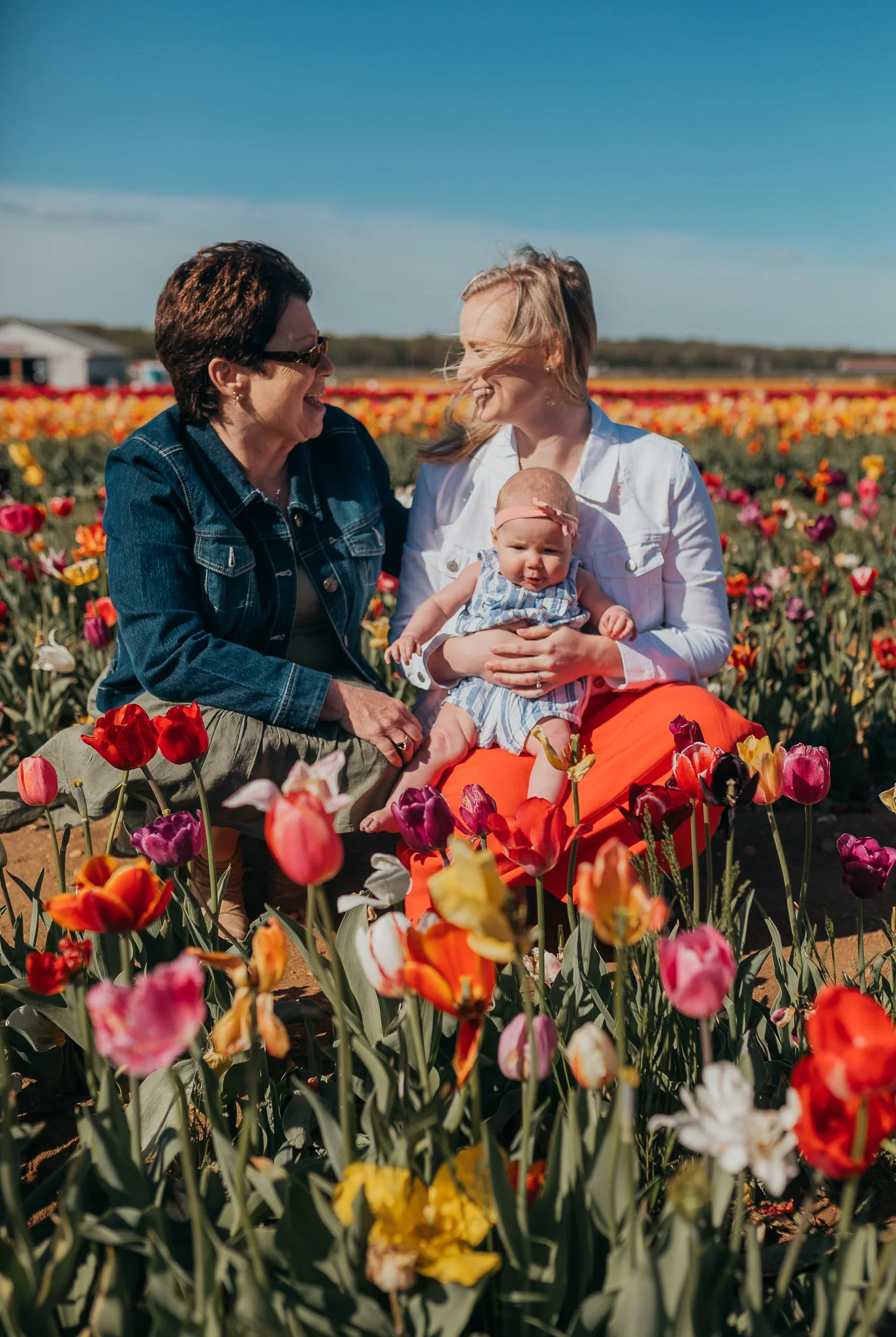 Tulips-4390.jpg