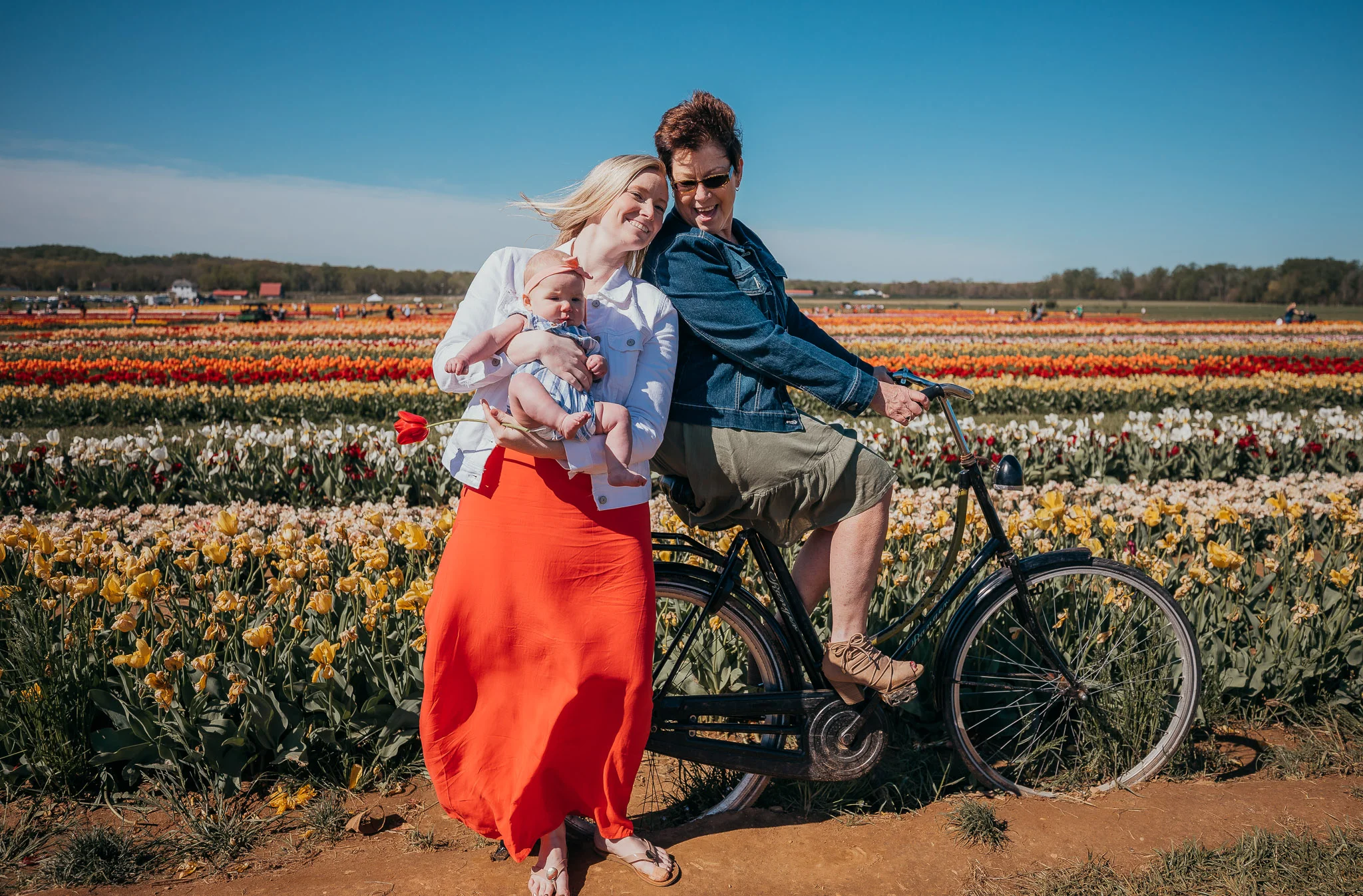 Tulips-4739.jpg