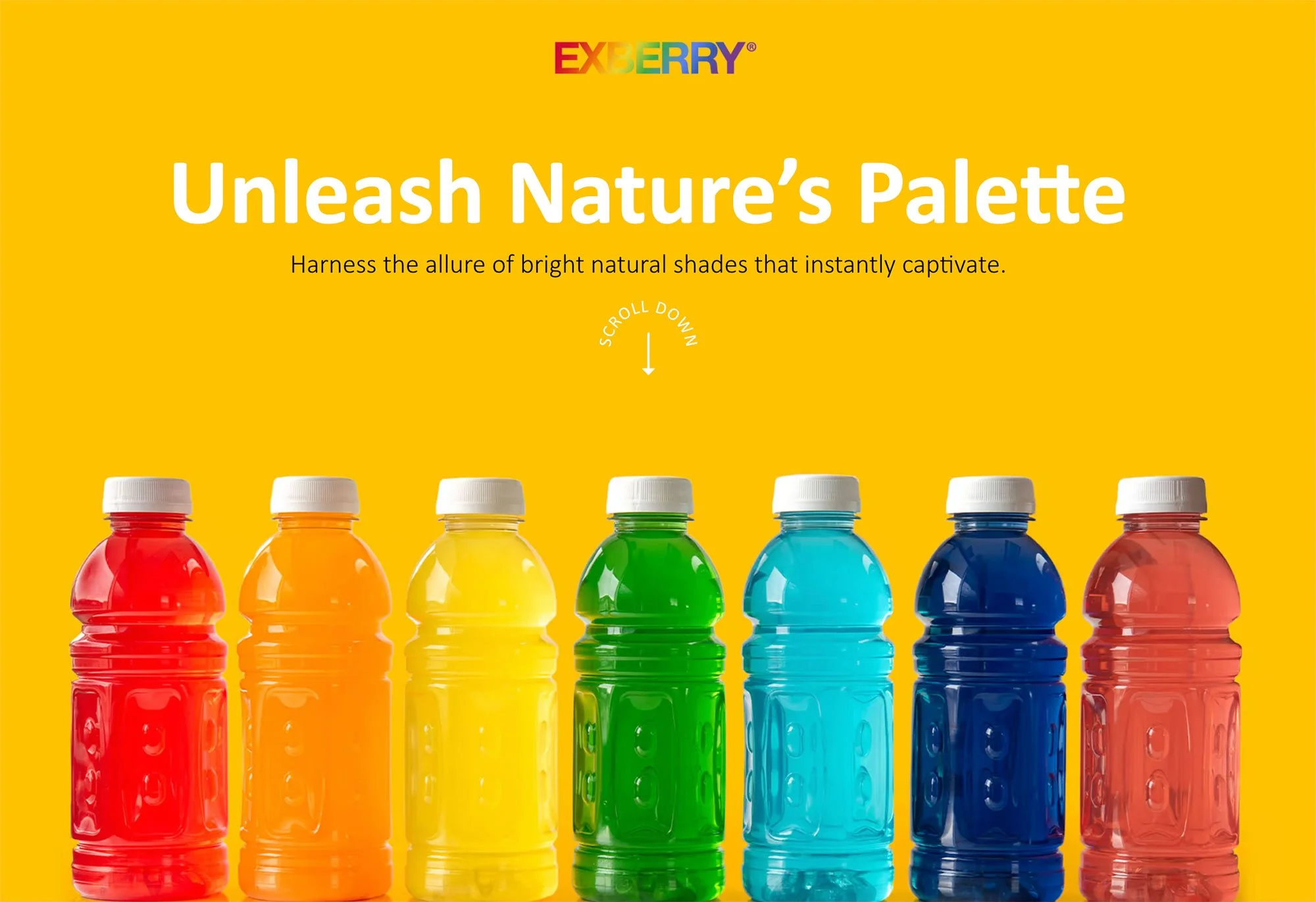 Interactive Spotlight for Exberry