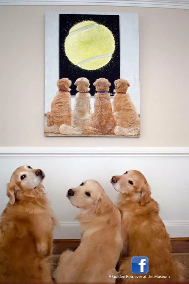 golden-retriever-wall-art.jpg