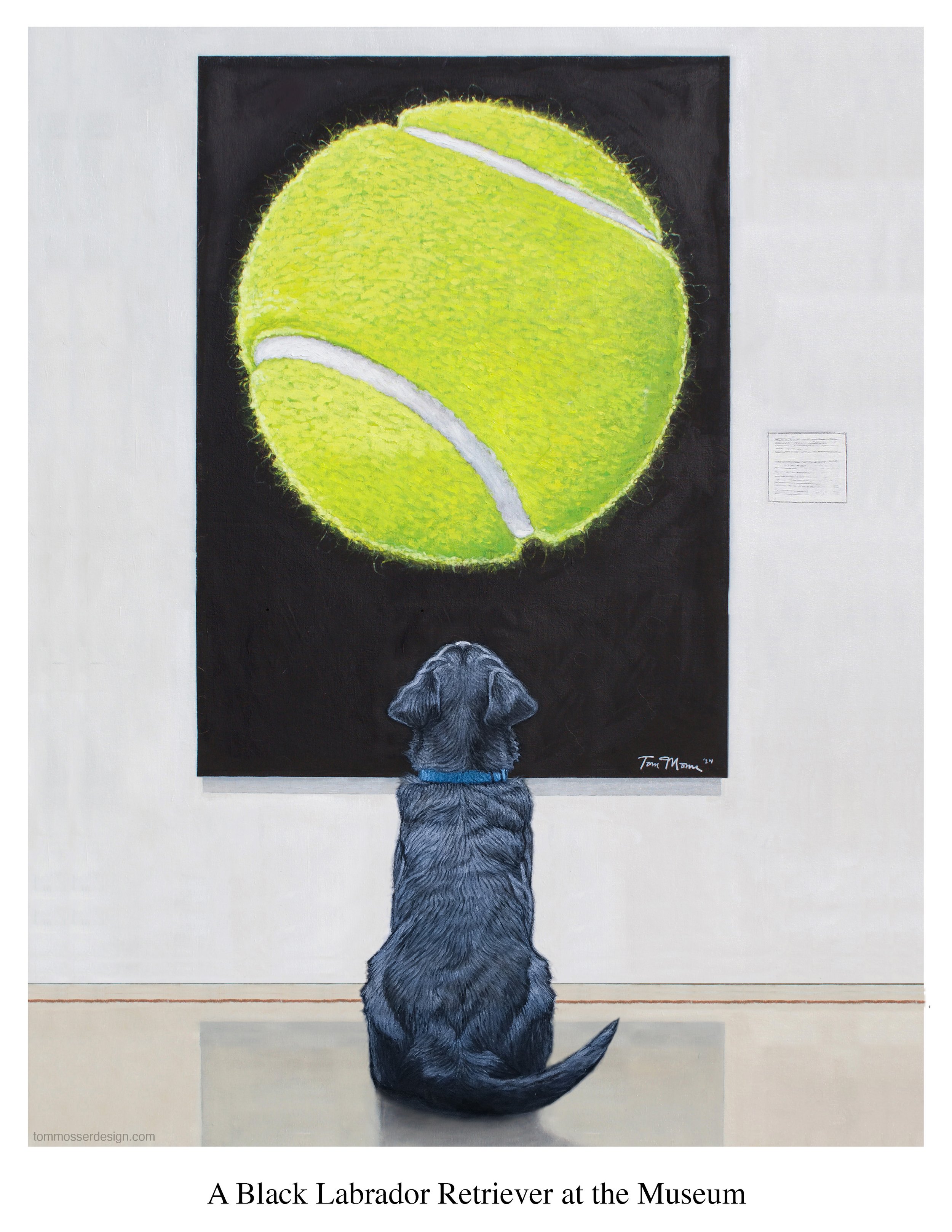 black.lab.11in..jpg