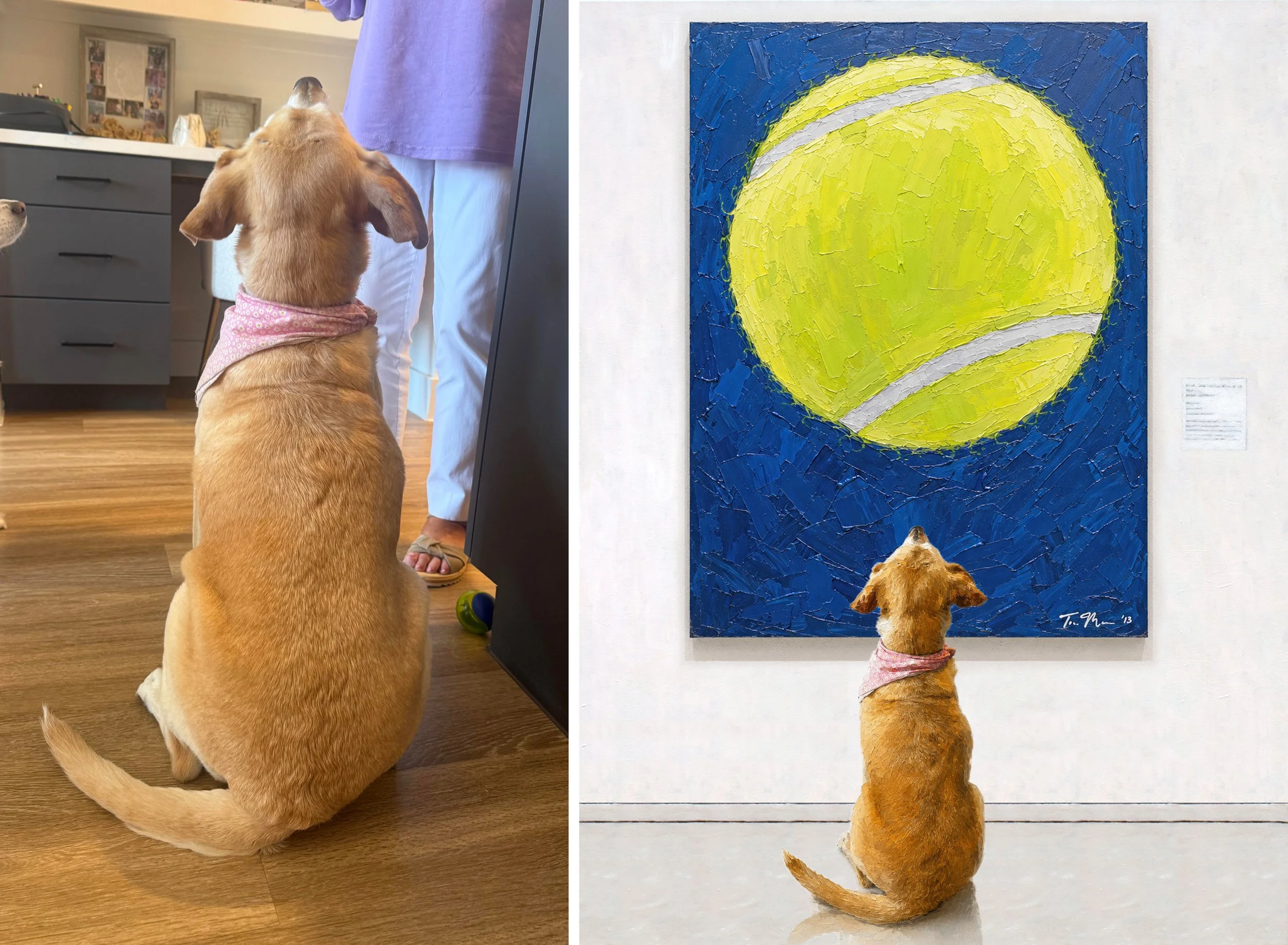 YOUR.dog.museum.jpg