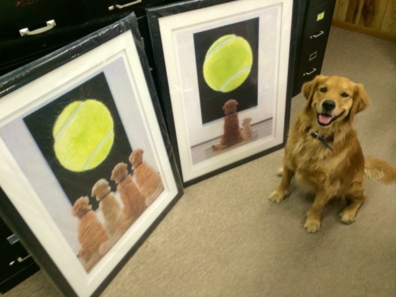 golden-retriever-art.jpg