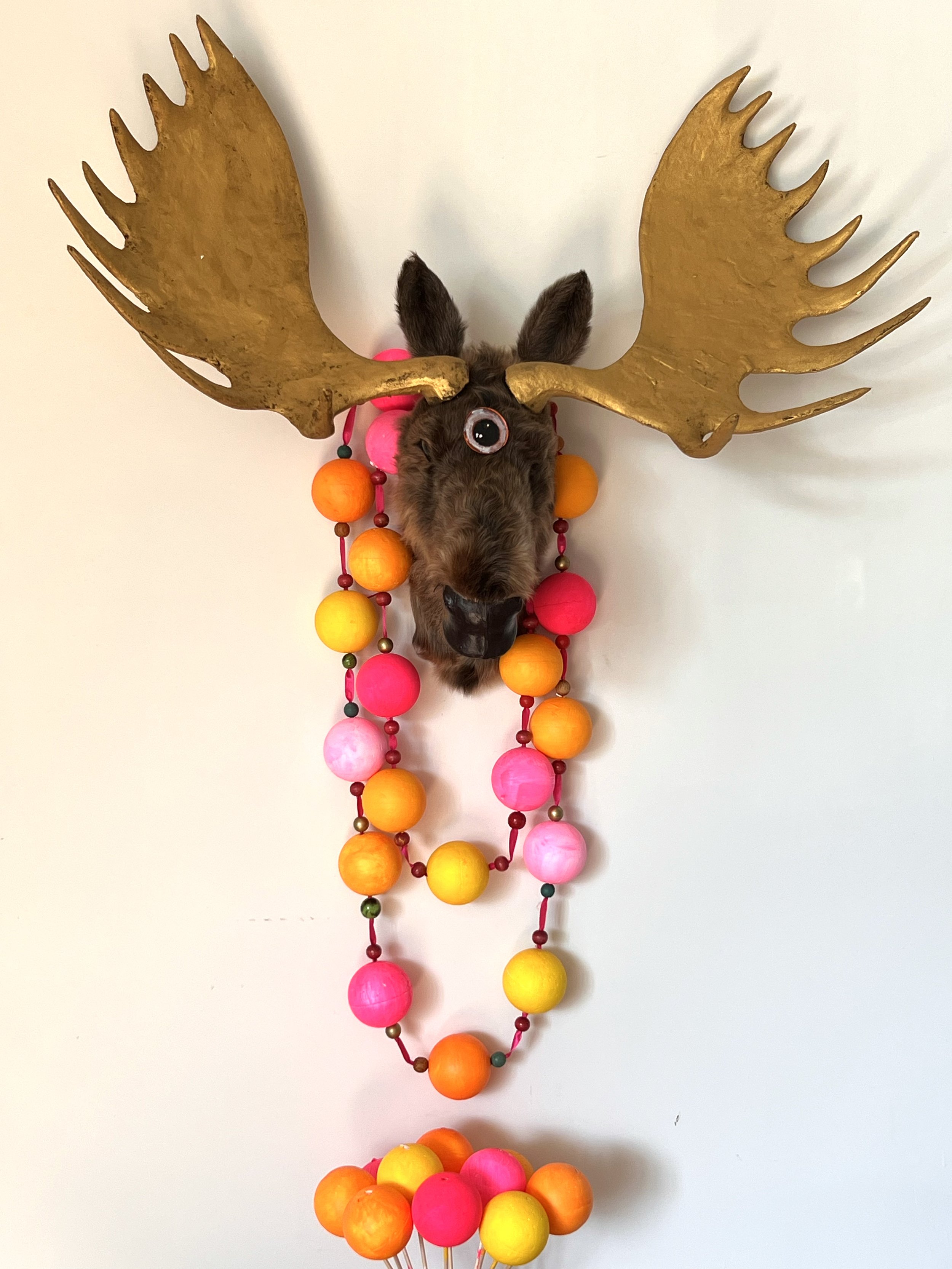 brucethemoose.jpg