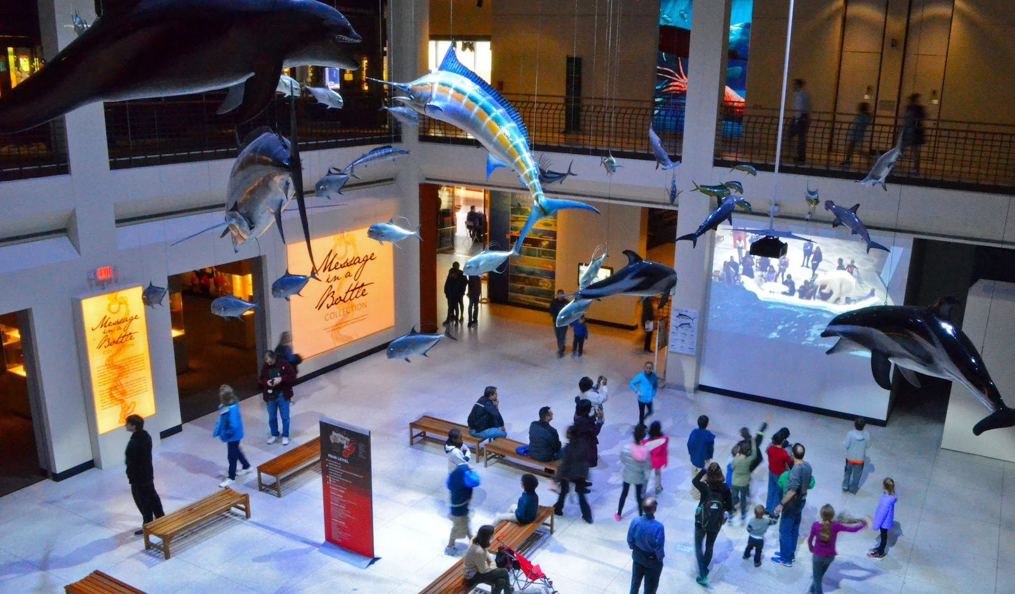hmns-Alfred-C.-Glassell-Jr.-Main-Hall.jpg