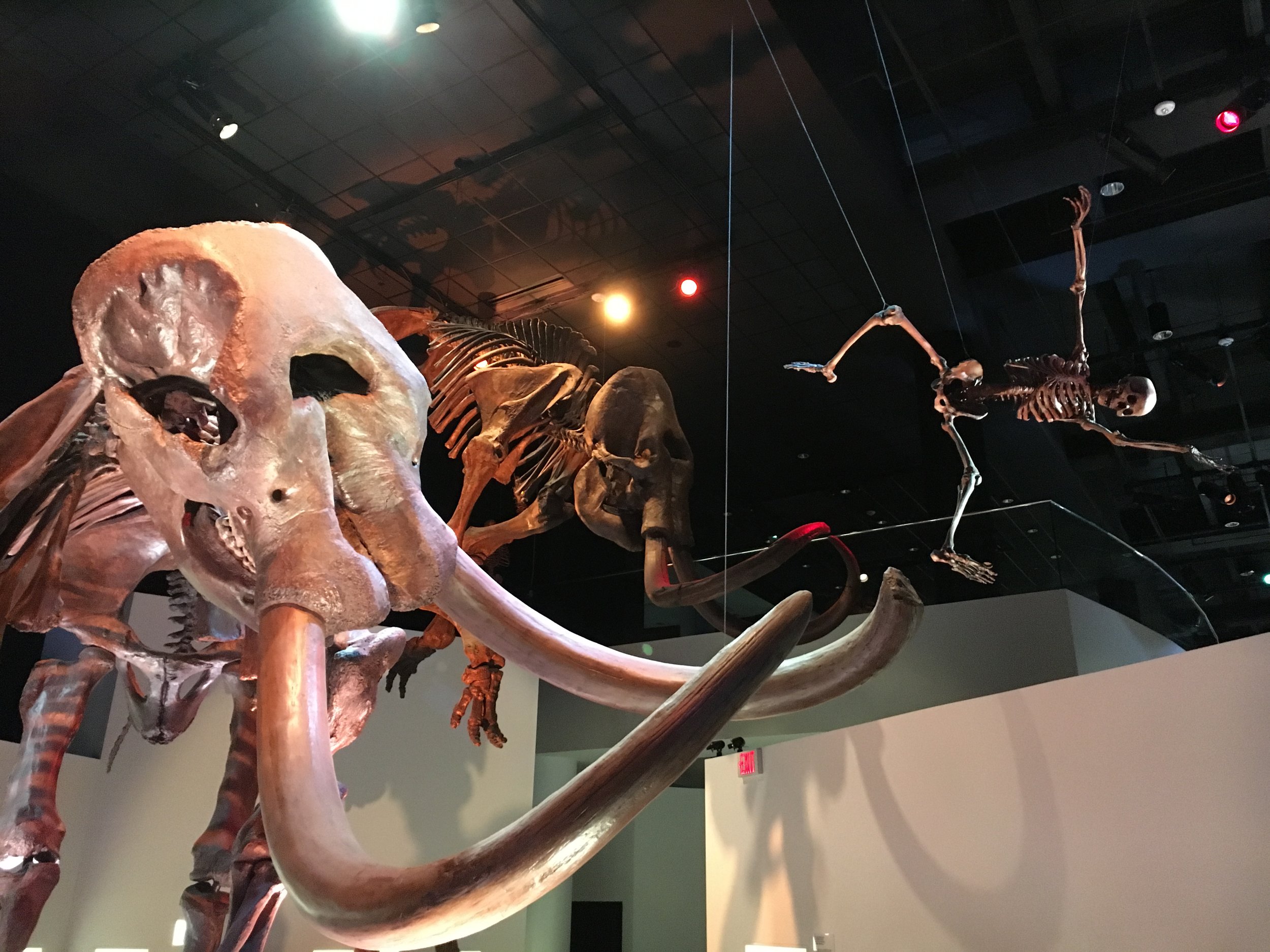paleo-1.jpg