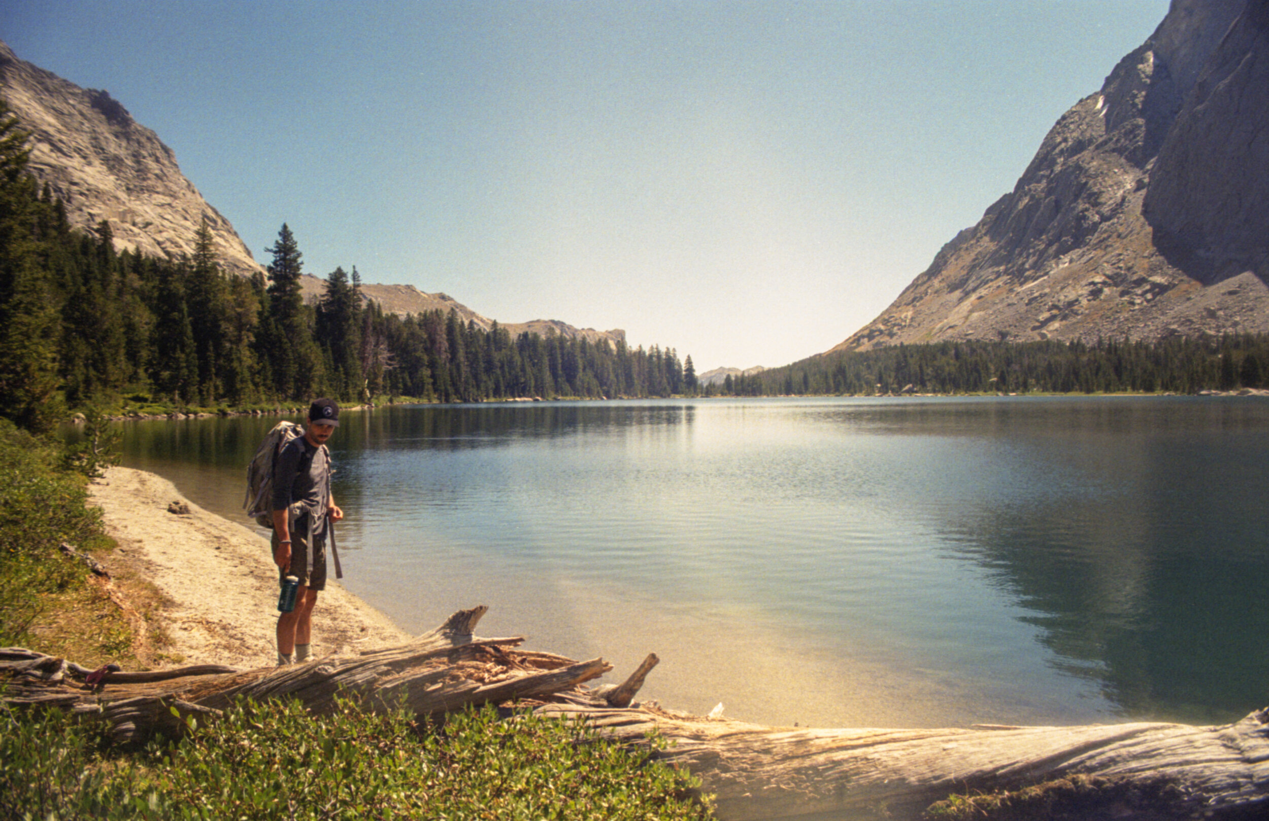aweeKodakGold400Oct20055-37.jpg