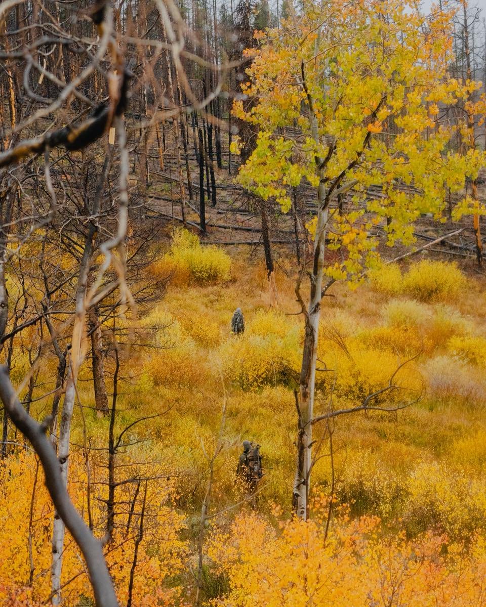 Mid-September rain and snow is quite unusual for us. Had the opportunity to join @freeflowoutdoors for a couple elk hunts. Rain caught us and made things unpleasant, but captured some unique weather we don&rsquo;t normally get.