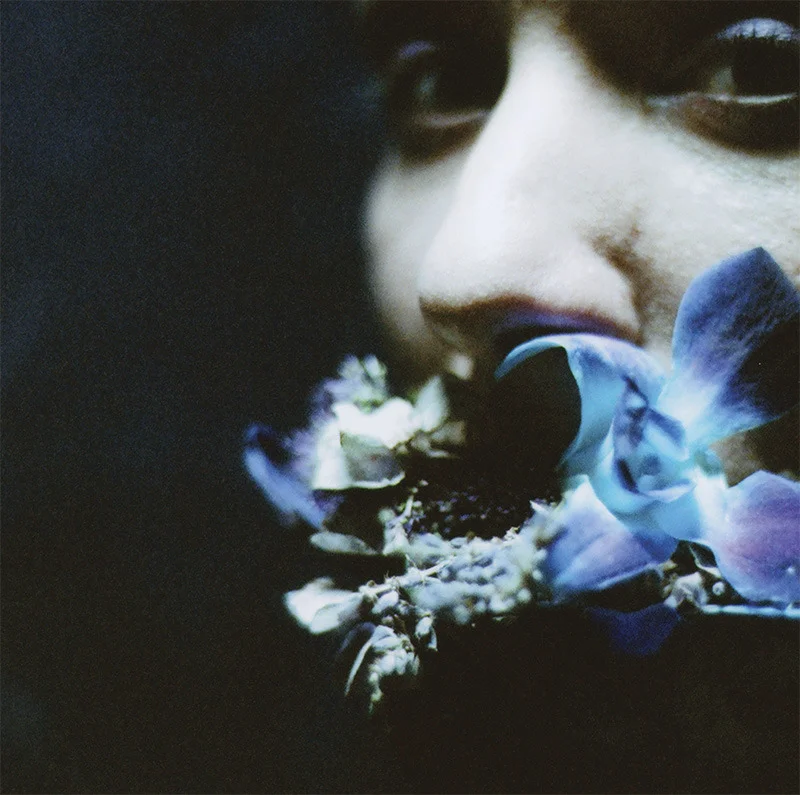 Cover photo for Reaching for Indigo , Circuit Des Yeux (Drag City, 2017). 35mm.