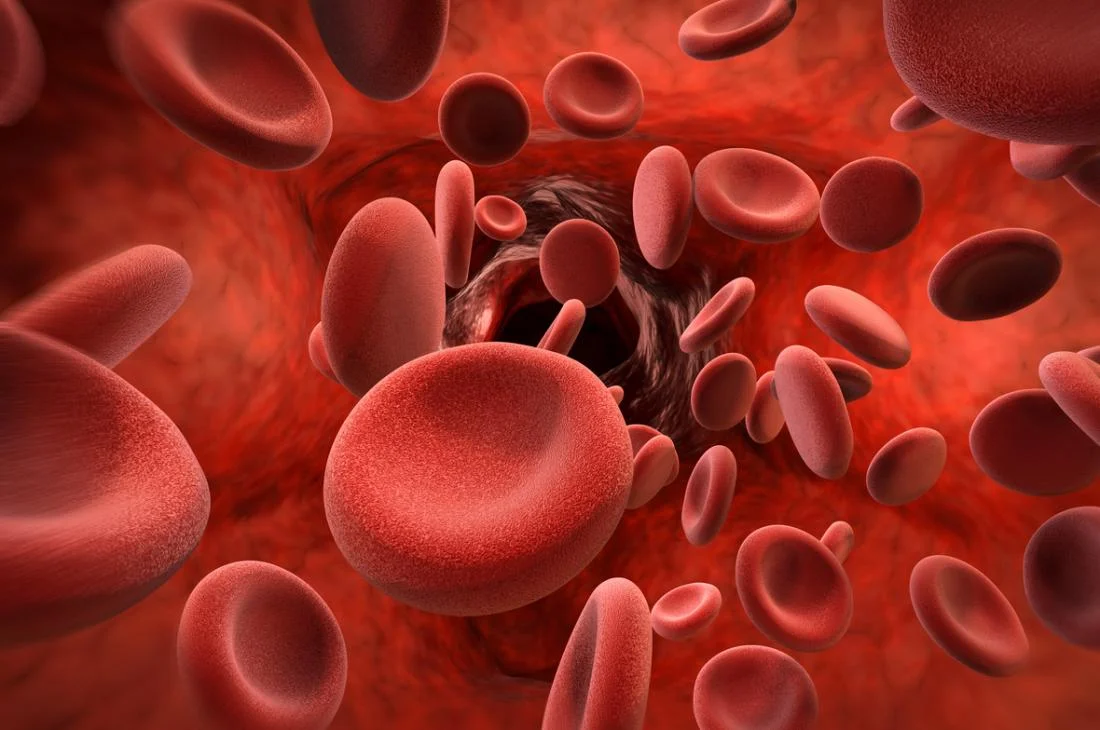 blood cells.jpg