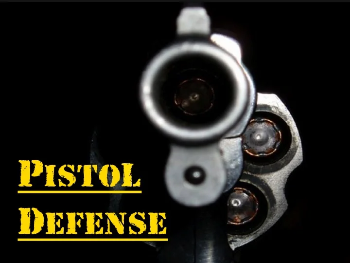 pistol.jpg
