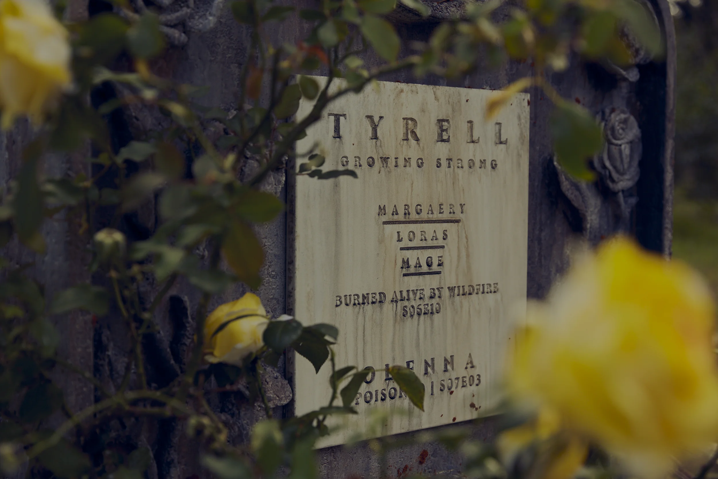 The ‘Grave of Thones’, situated inside Centennial Park in Sydney from April 12 – 14, was designed by DDB Sydney and built in a collaborative effort from Revolver/Will O’Rourke and The Glue Society. The final resting place is designed as a place for GoT fans to reflect on the deaths of the show’s most iconic faces, as the show prepares to reach its epic conclusion.