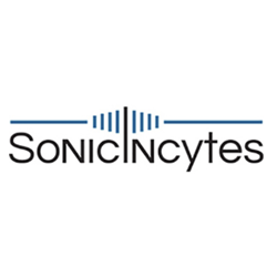 Sonic_sq.png