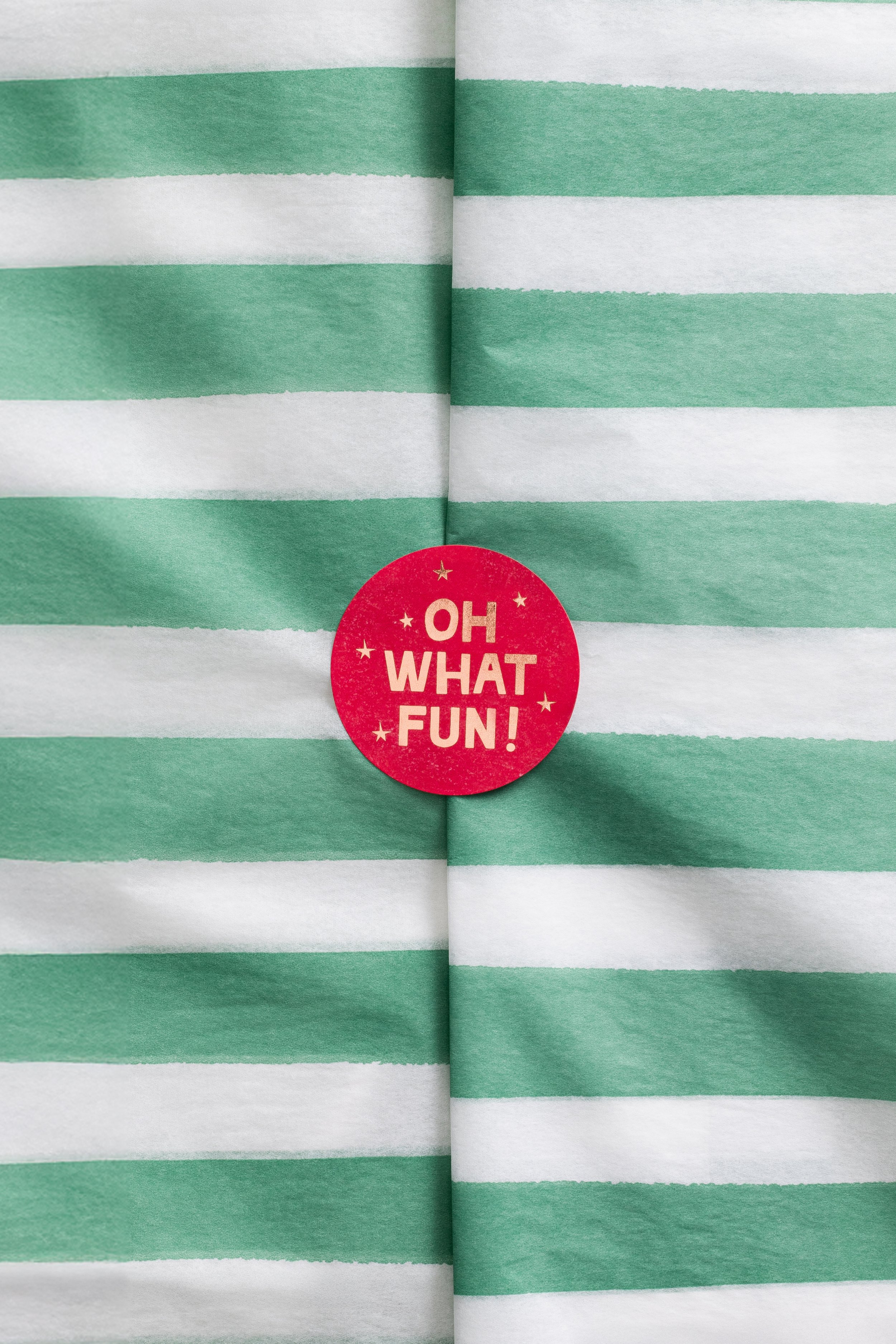 2025_08_EFrancesHoliday-5-green-stripe.jpg