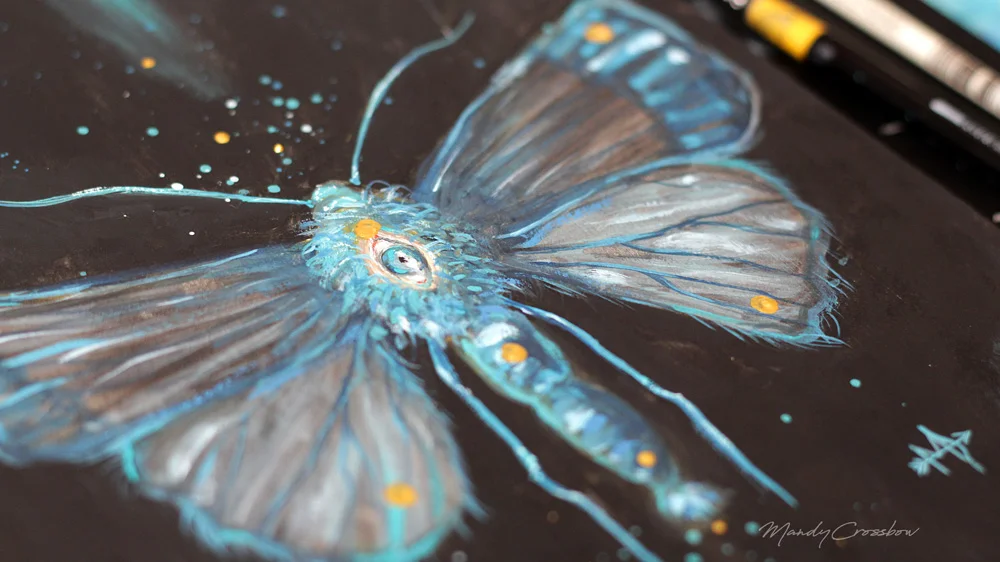 moth-2-web.jpg