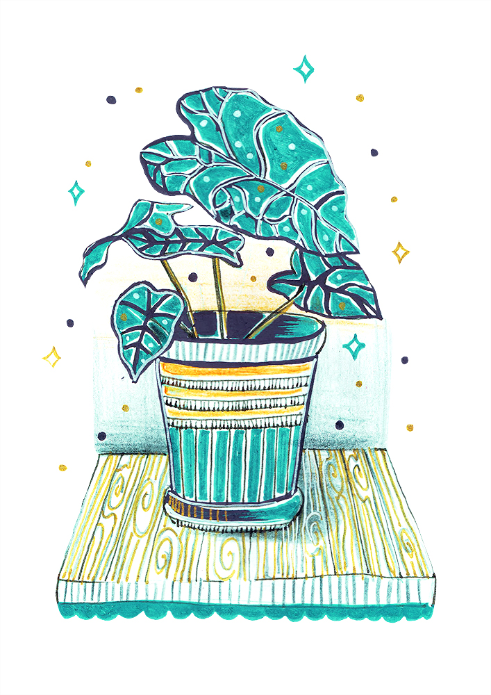 Posca plant illustration by anca pora