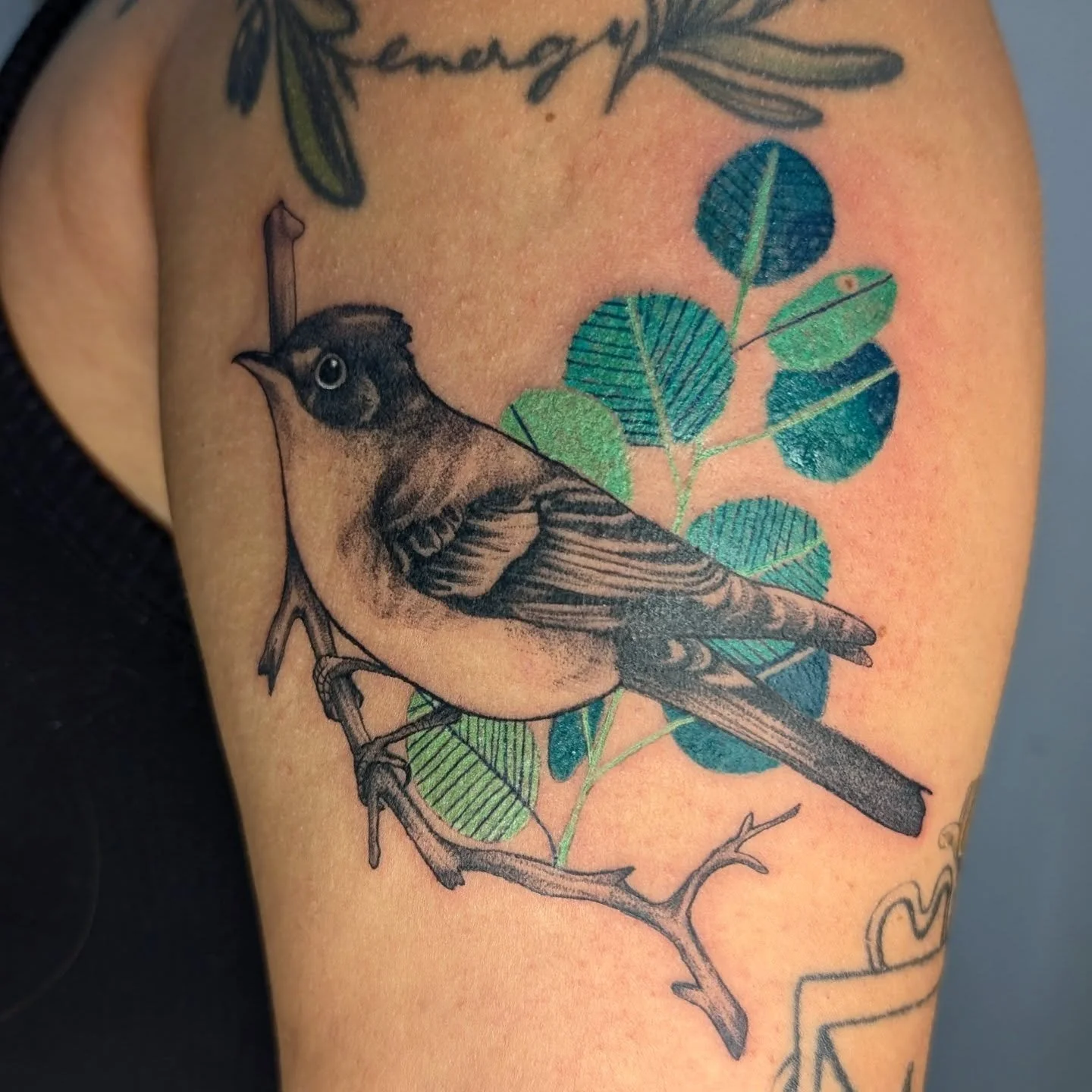 Birdie from my flash designs for @flowersbetweenustattoo . Every time I get to tattoo a design from my flash sheets my heart fills up with joy. Plenty of available designs still left. Also I would love to be able to do more bird tattoos in the future